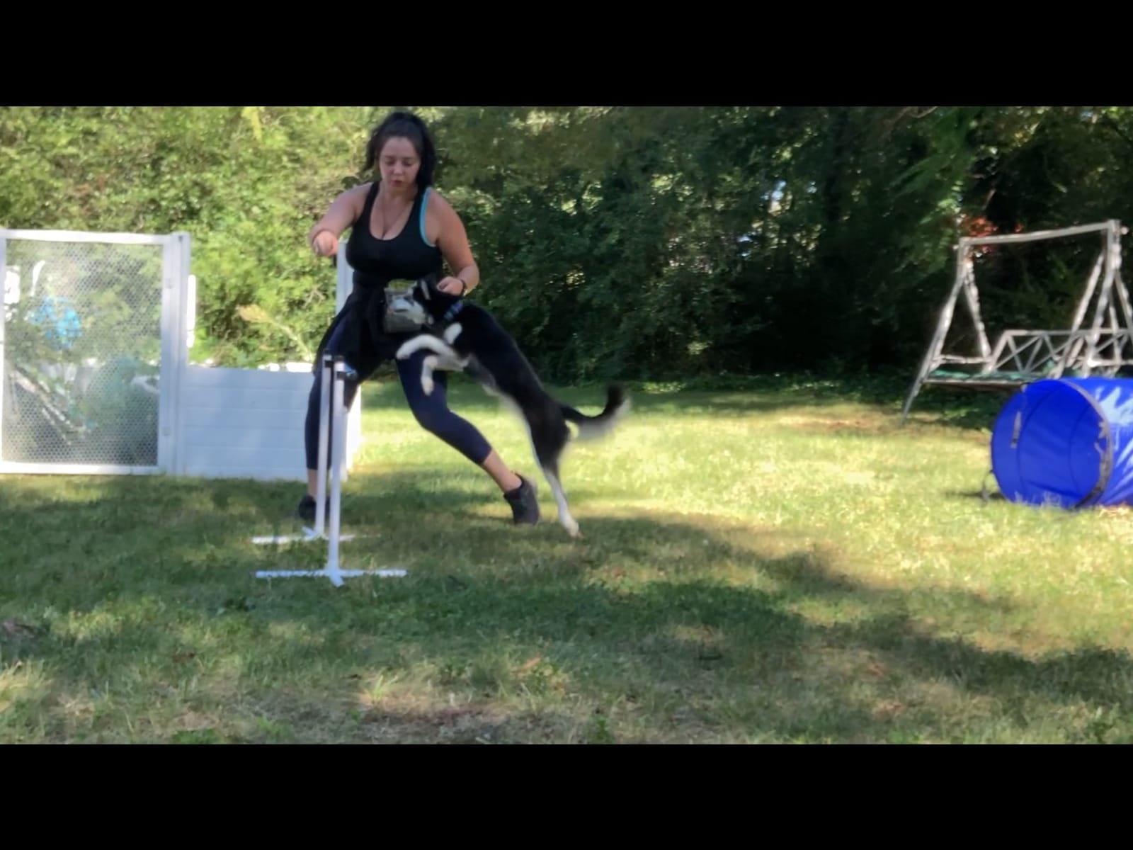 Agility Course Backyard Set - 7pc | Indoor and Outdoor, 3 Jumps, 2 Tunnels with Sandbags, Weave Poles, Dog Agility Training Equipment customer photo 2