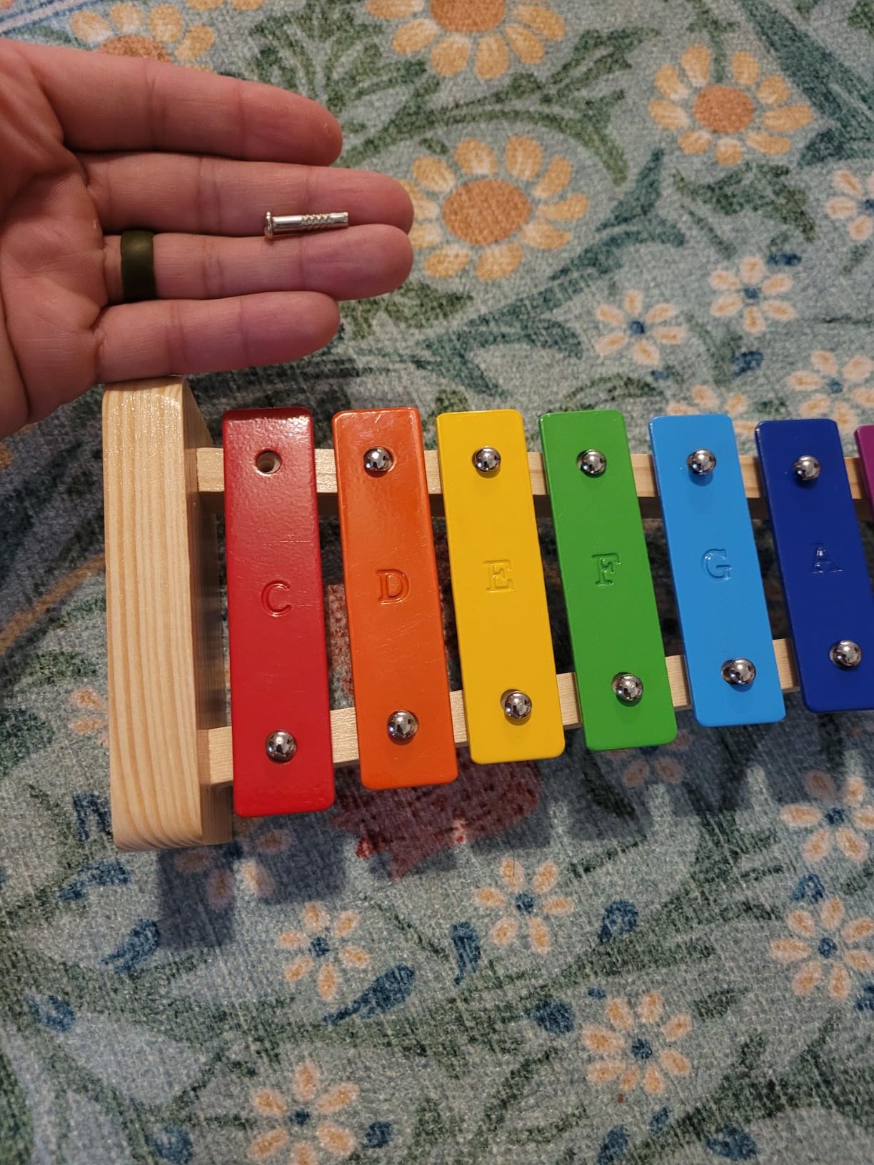 Xylophone for Kids and Toddlers 1-3 Music Toys with 15-Song Songbook | Wooden Xylophone, 8 Colorful Notes, Baby Musical Instrument, Montessori Toy, Preschool Learning, Classroom Use, Birthday Gift customer photo 1