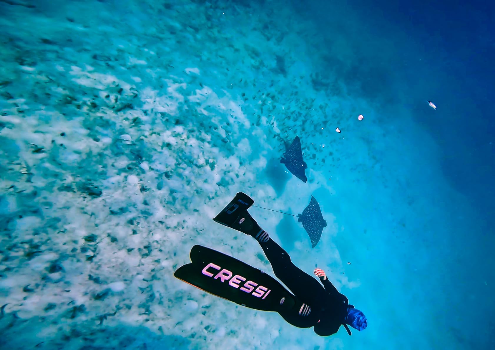 Cressi Gara Modular Impulse Fins for Freediving with Interchangeable Blades, Made in Italy customer photo 2