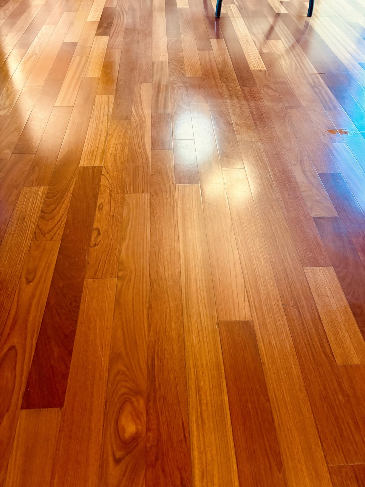 Bissell SpinWave Hard Floor Expert Corded Spin Mop Cleaner, Powerful Electric Floor Cleaner with Washable Pads for Effortless Deep Cleaning on Sealed Floors, 20393 customer photo 2