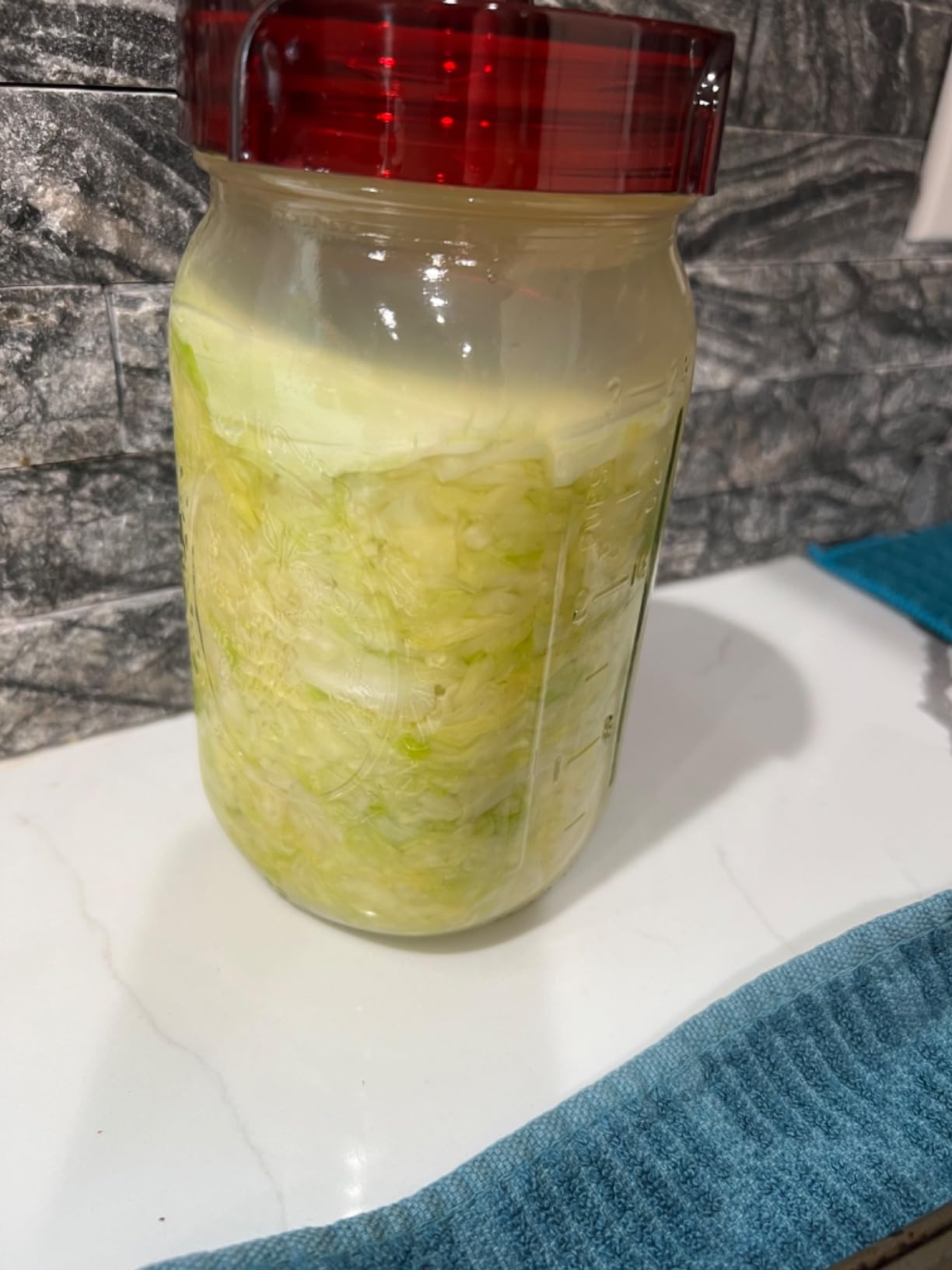 Mason Jar Fermentation Kit - Food Grade Fermenting Lids for Wide Mouth Mason Jars, includes Easy Grip Fermenter Lids 4-Pack, Weights and Pump - a Great Starter Sauerkraut Fermenting Kit, Brillenti customer photo 1
