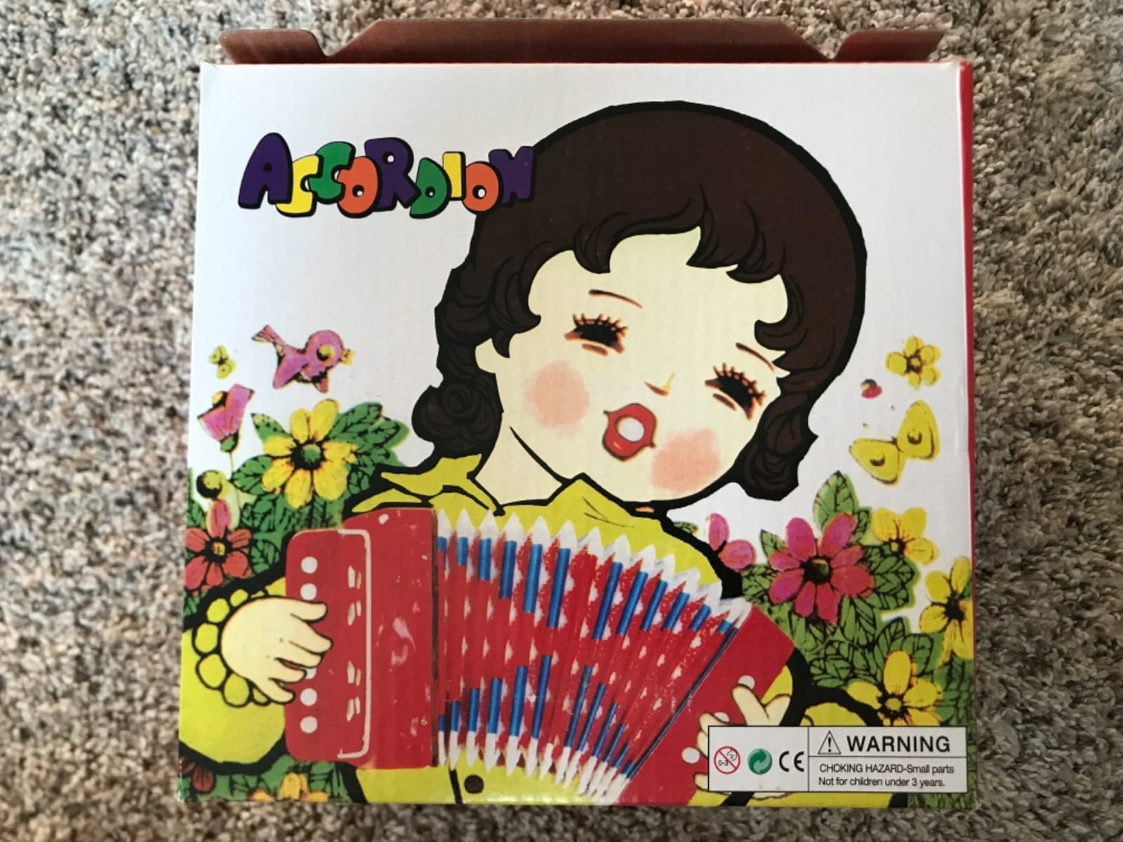 Kids Accordion, 10 Keys Control Button Accordion Musical Instruments for Kids Children Beginners Lightweight and Environmentally-friendly customer photo 2