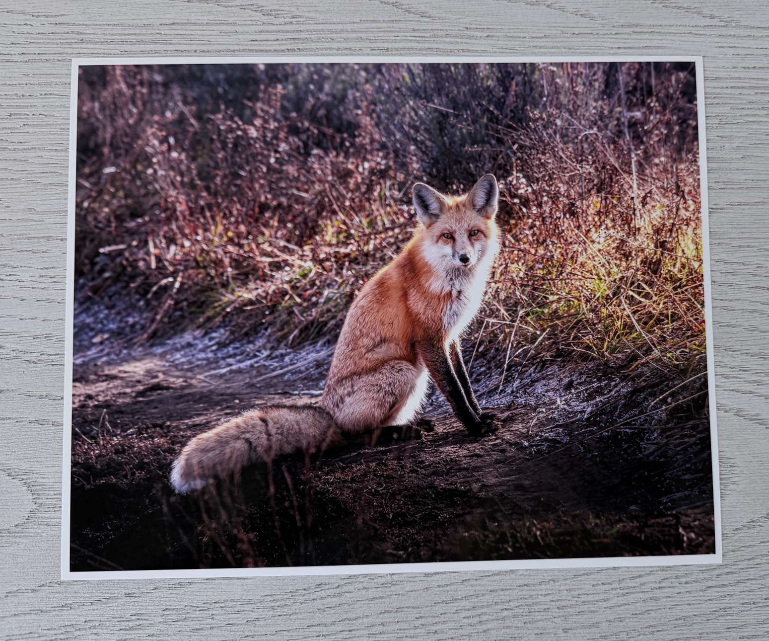 Epson EcoTank Photo ET-8550 Wireless Wide-Format All-in-One Tank Printer, Cartridge-free 6-color photo printing up to 13 x 19 in. customer photo 2