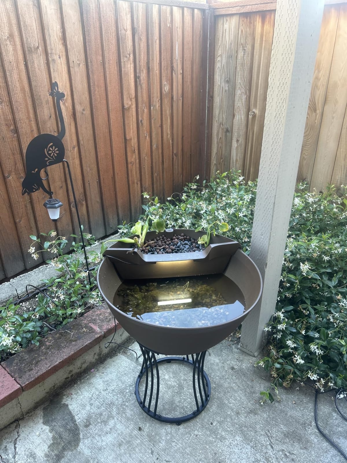 Aquascape Pond and Waterfall Kit AquaGarden Container Water Garden, Steel Gray customer photo 2
