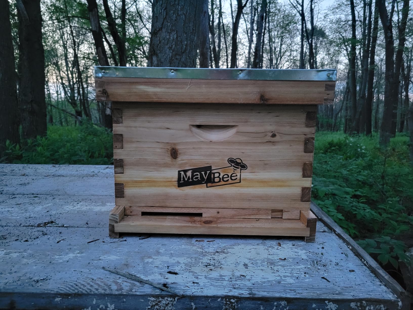 10-Frame Langstroth Beehive Dipped in Beeswax, Complete Bee Hives and Supplies Starter Kit Includes 2 Deep Hive Bee Boxes and 1 Bee Hive Super with Beehive Frames and Foundations customer photo 2