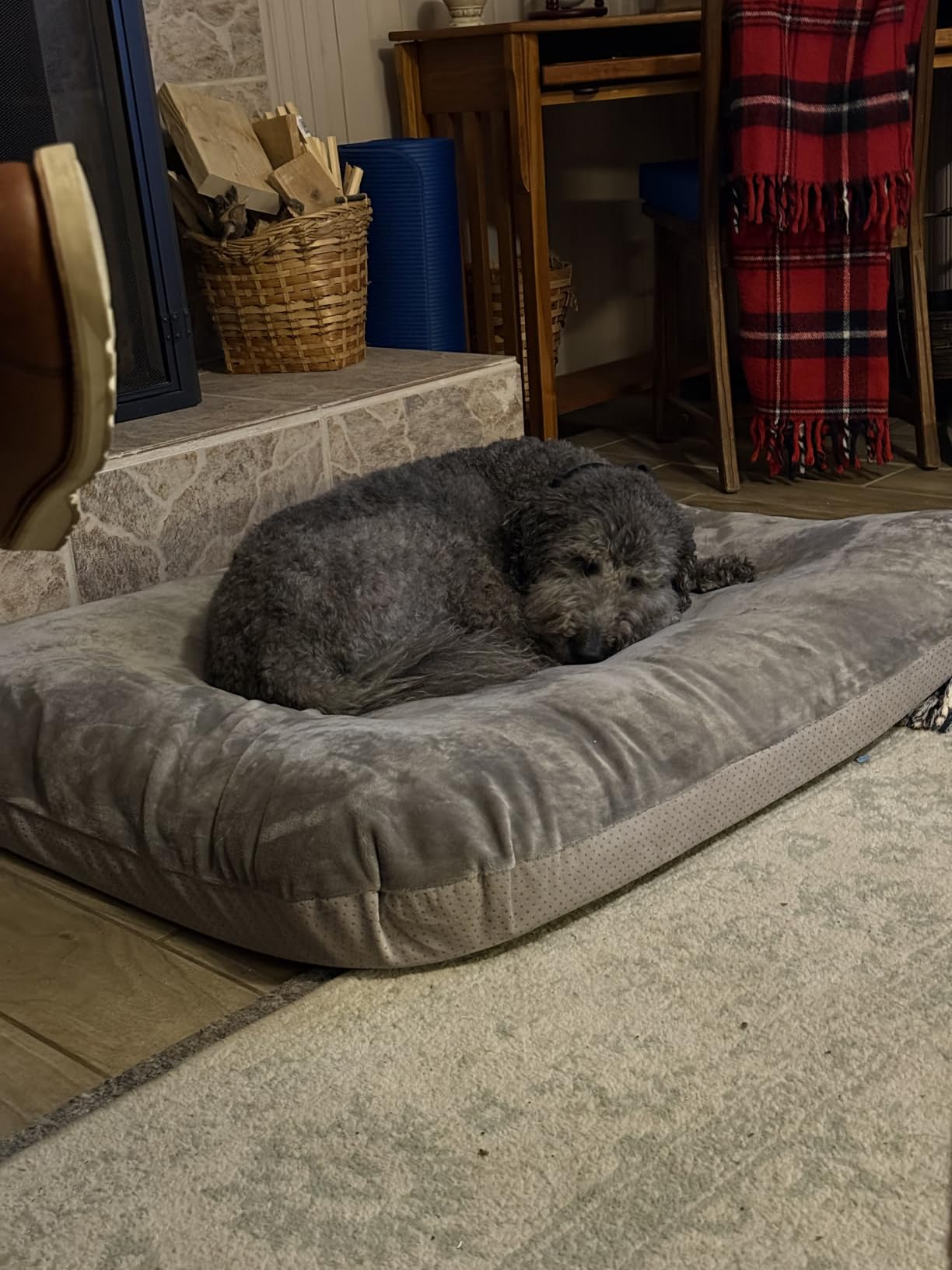 Magic Dog Super Comfy Dog Bed for Large Dogs, 47