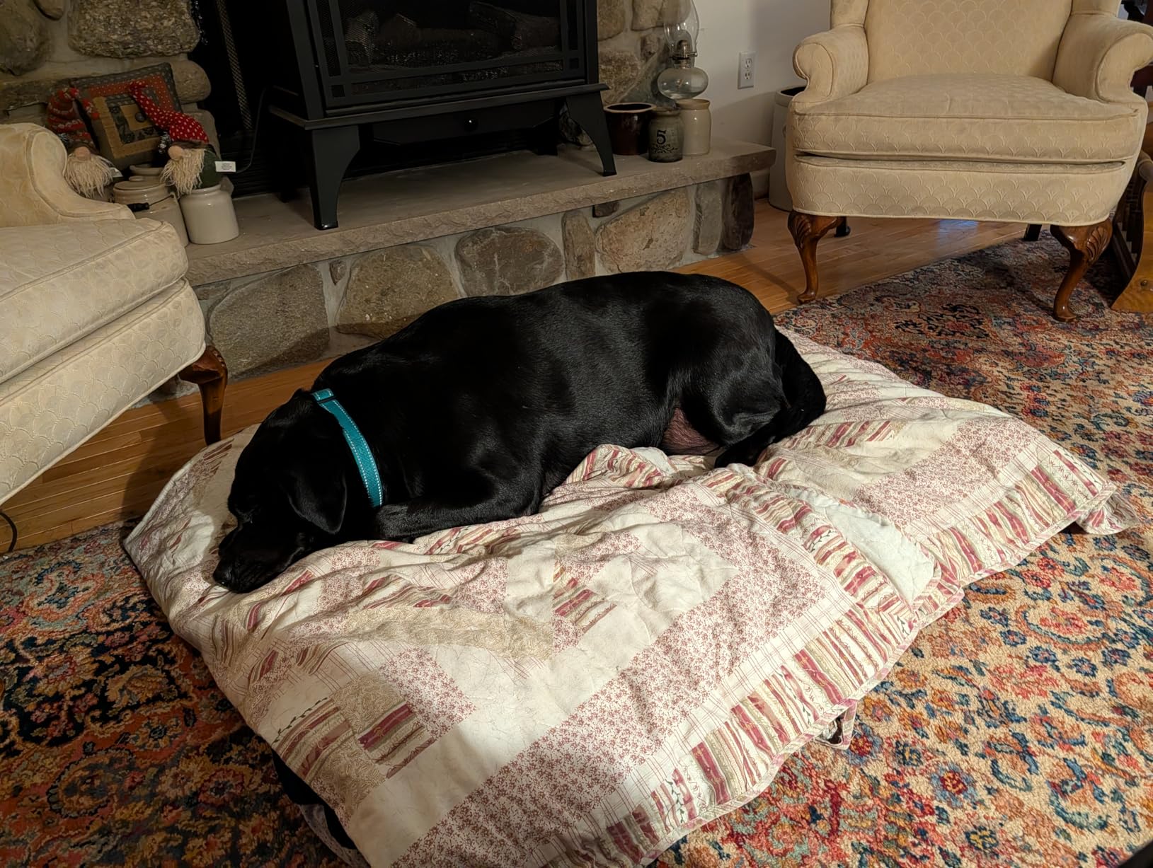 Magic Dog Super Comfy Dog Bed for Large Dogs, 47