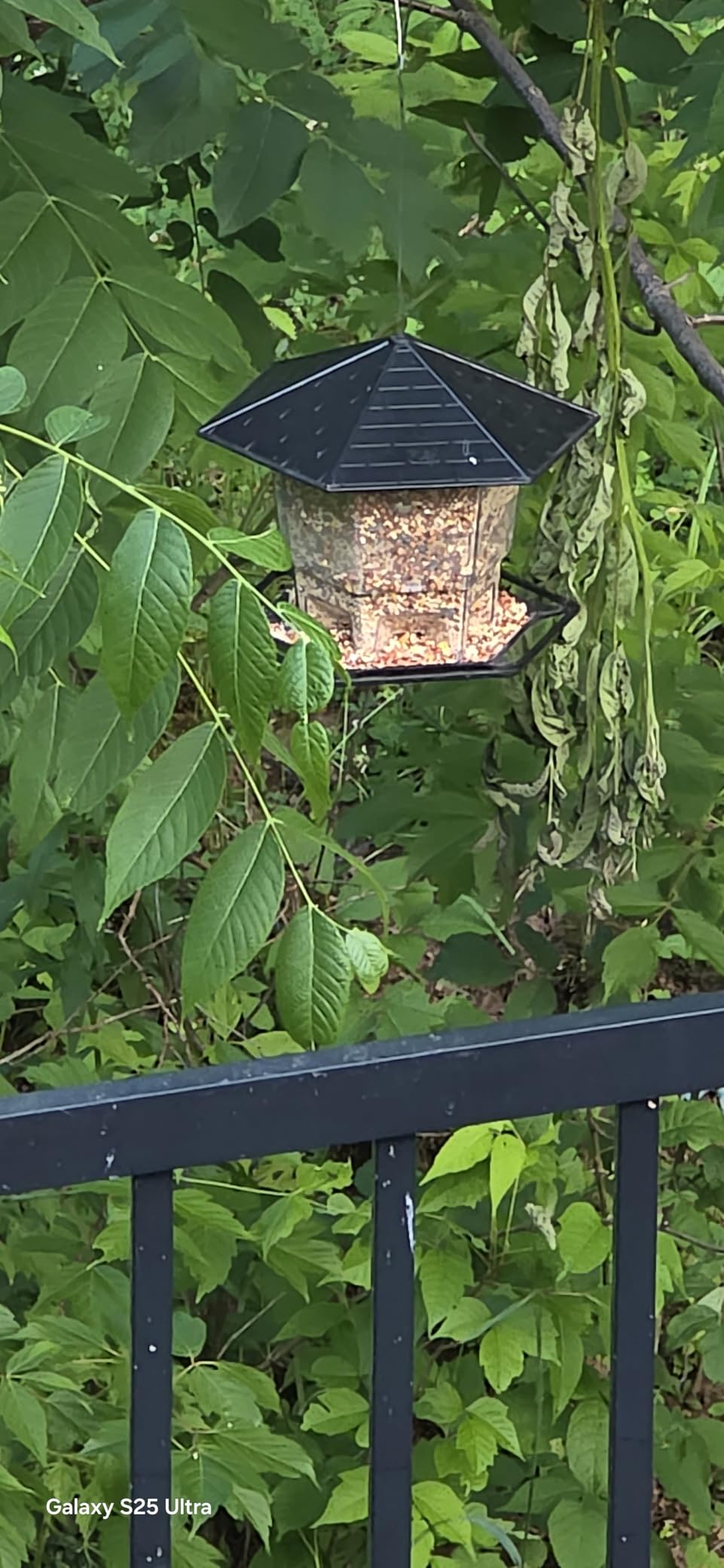 Jealoeur Bird Feeders for Outdoors Hanging Bird Feeder Wild Birds Seed, Black customer photo 2