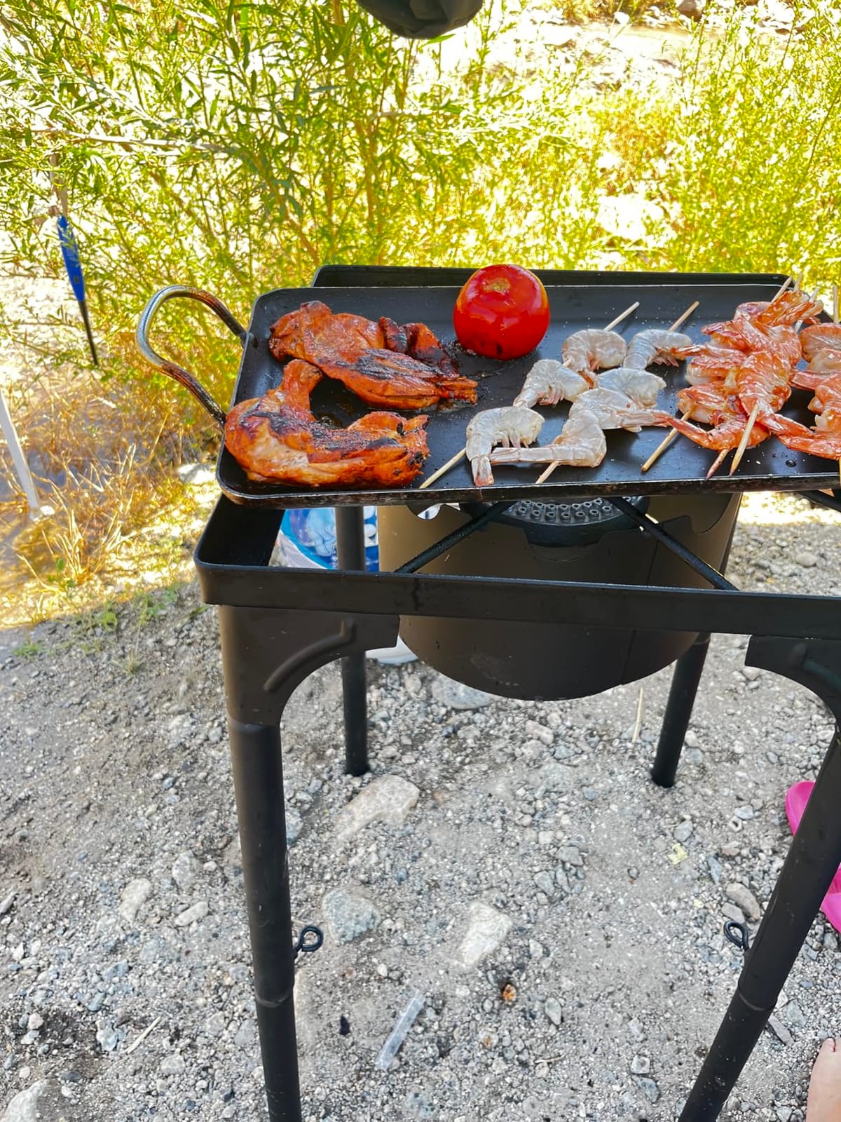 GasOne Propane Single Burner Camp Stove with High Temp Paint & Red QCC Steel Braided Regulator with Height Adjustable Leg customer photo 2
