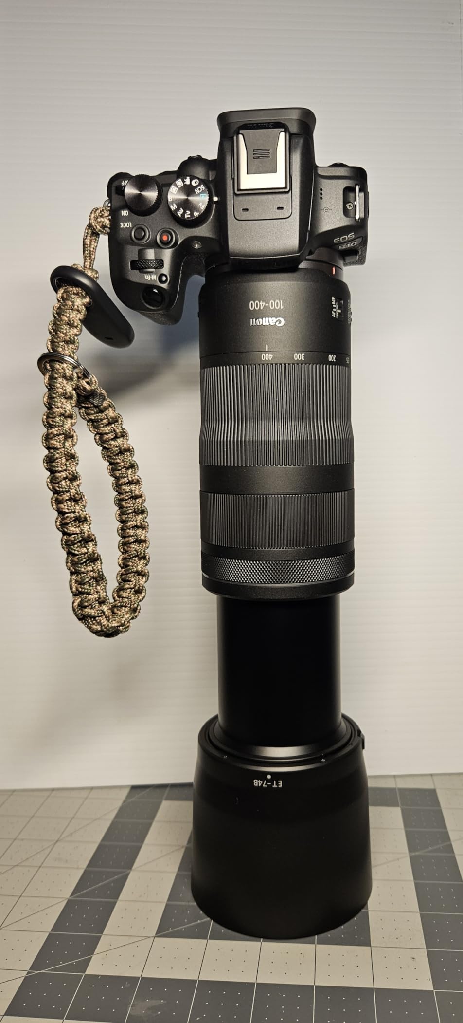 Canon RF100-400mm F5.6-8 IS USM Telephoto Lens for EOS R Series Mirrorless Cameras customer photo 2