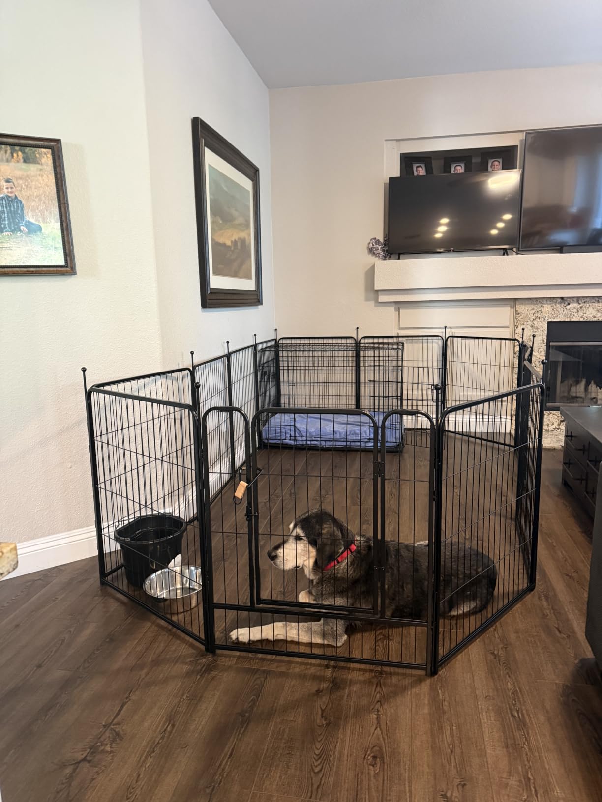 Dog Playpen, 32/40/45 Inch Height in Heavy Duty, Folding Indoor Outdoor Anti-Rust Dog Exercise Fence, Portable Pet Playpen with Door for Large Medium Small Dogs and Pet (16 Panels, 40 Inch) Silver customer photo 2