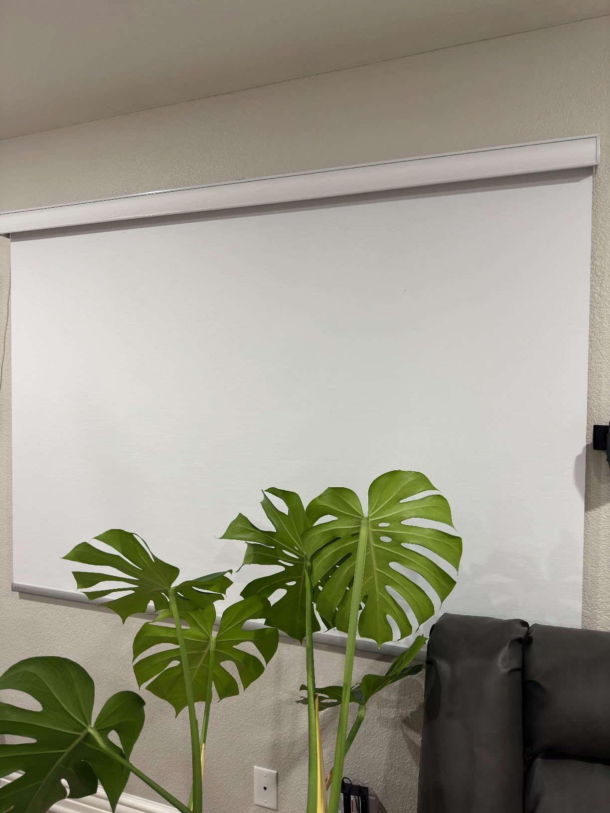 SmartWings Motorized Smart Roller Shades, 100% Blackout Essential White | Customized Automatic Shades for Indoor Window, Cordless Electric Blinds Compatible with Alexa/Homekit/Google customer photo 2