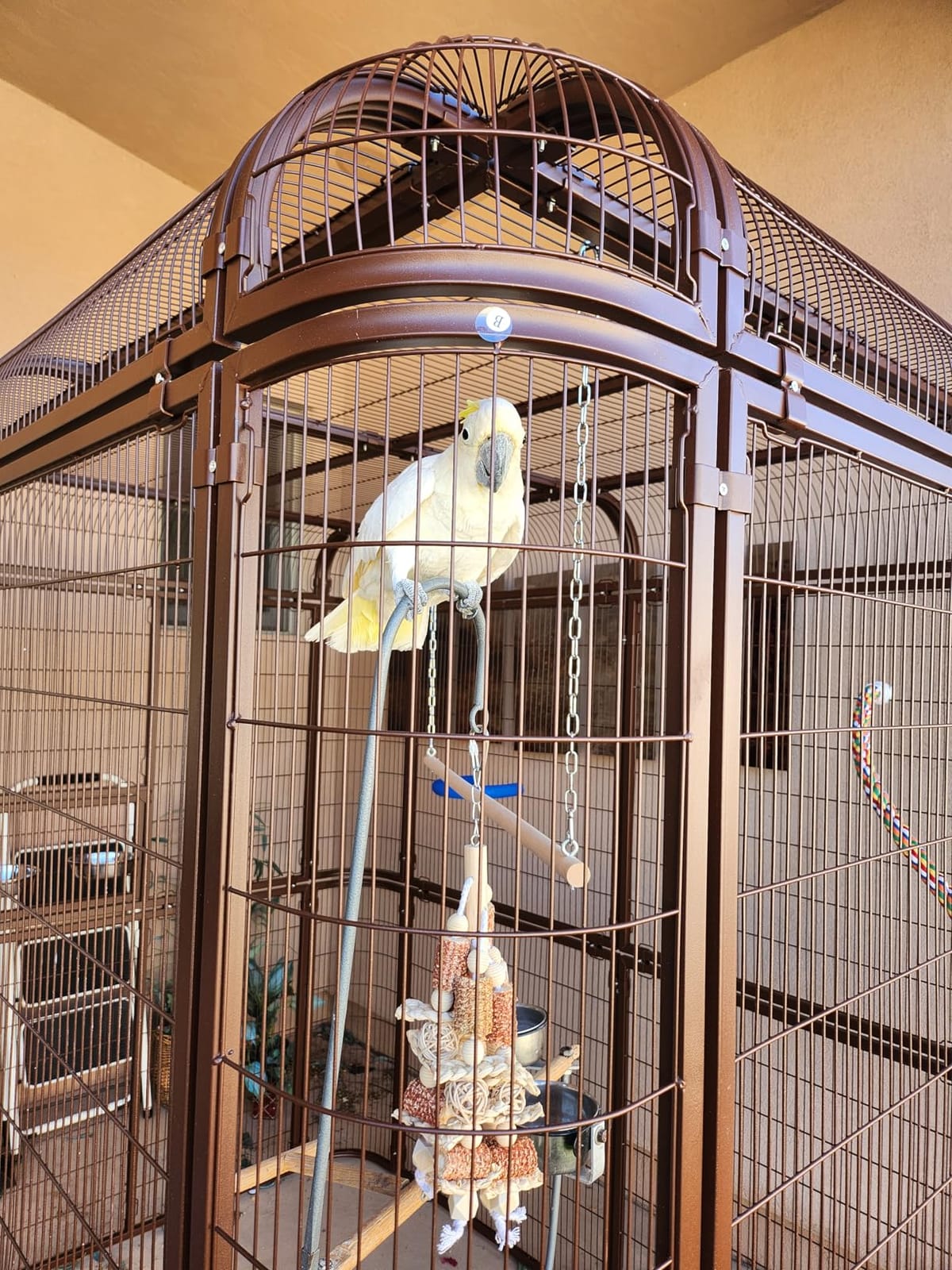 wonline Parrot Cages for Large Birds Outdoor Extra Large Bird Cage with Bird Cage and Perch, Suitable for Macaws Canaries Parrots Budgie Lovebirds customer photo 2