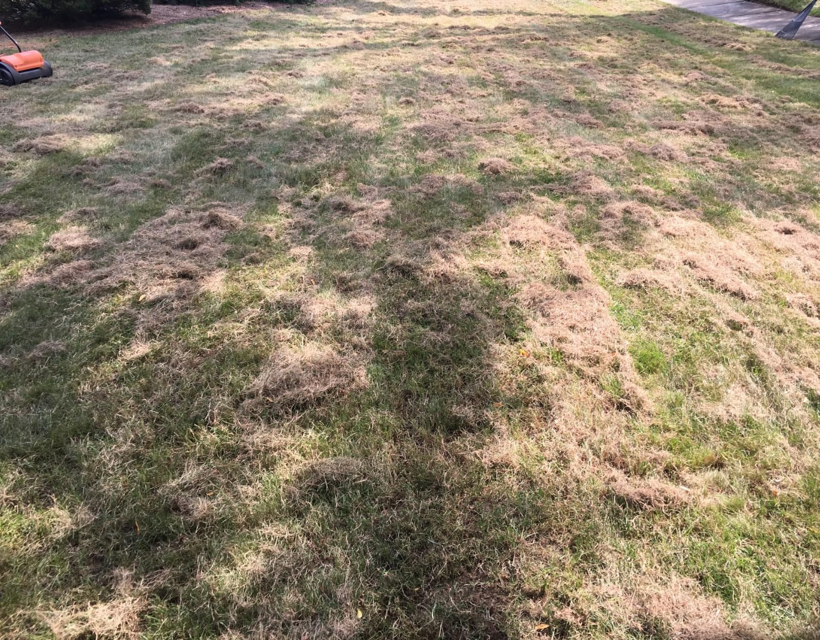 LawnMaster GV1212B Scarifier and Dethatcher 13-Inch 12AMP customer photo 2