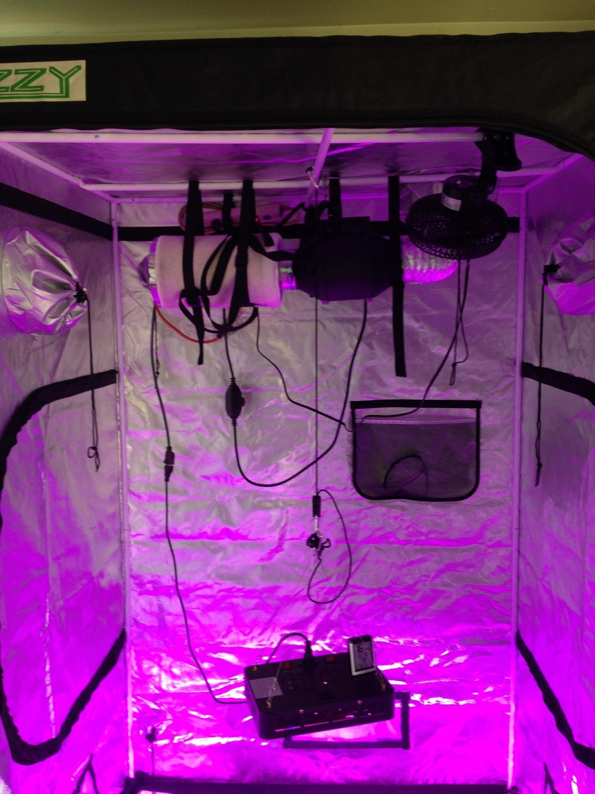 zazzy 3x3 Grow Tent, 36