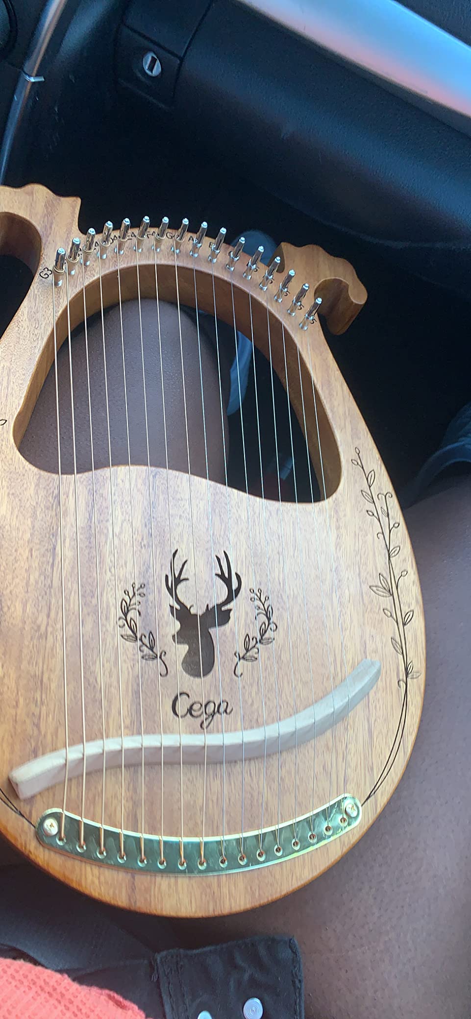 Lyre Harp, 16 Strings Mahogany Acoustic Lap Harp for Adults Beginners with Extra Strings, Picks, Tuning Lever, Black Gig Bag, Beginner's Manual customer photo 2
