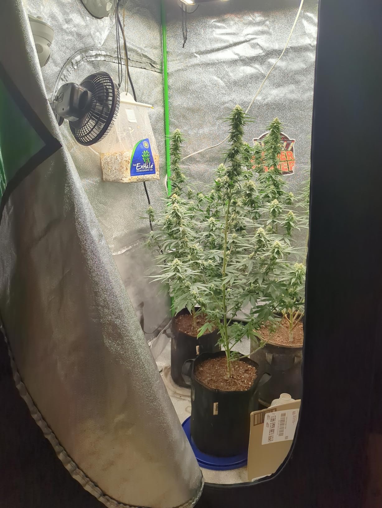 Spider Farmer 2x2x6 Grow Tent 2025 New, 24