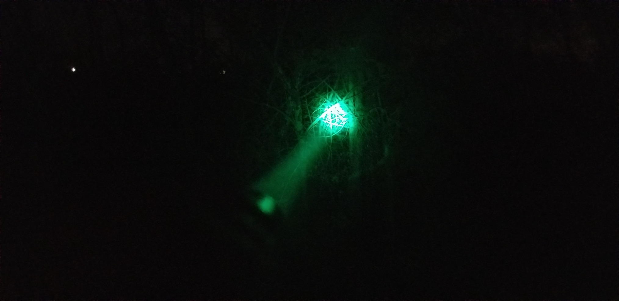 USB-C Rechargeable Green Flashlight Zoomable 1000 Yard Pressure Switch Scope Rail Mount Hogs Predators Night Hunting customer photo 2