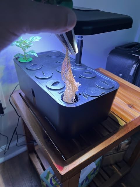 Indoor Garden Hydroponics Growing System: 10 Pods Kit with LED Grow Light, Herb Vegetable Growth Lamp Countertop Hydroponic Planter customer photo 2
