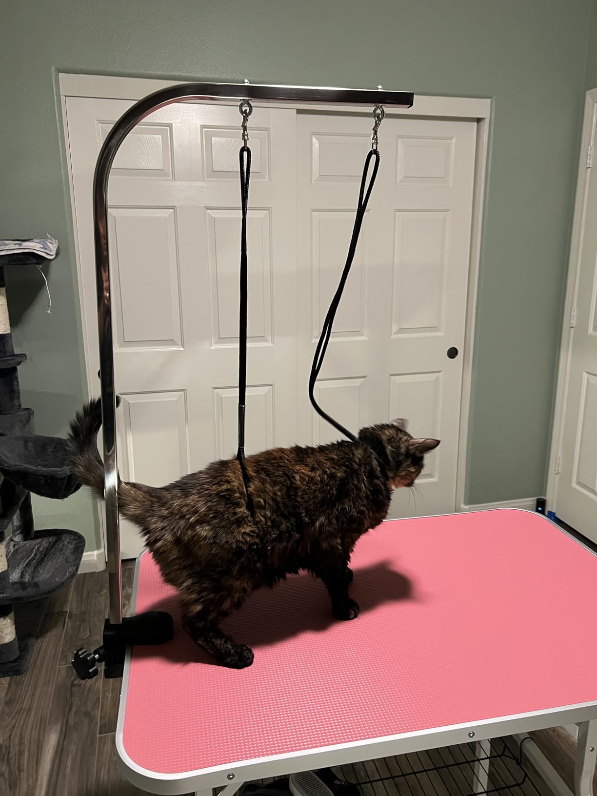 Topeakmart Foldable Portable Pet Grooming Table - 36in Professional Dog Cat Trimming Table w/Adjustable Arm & 2 Nooses, Maximum Capacity Up to 220lbs customer photo 2