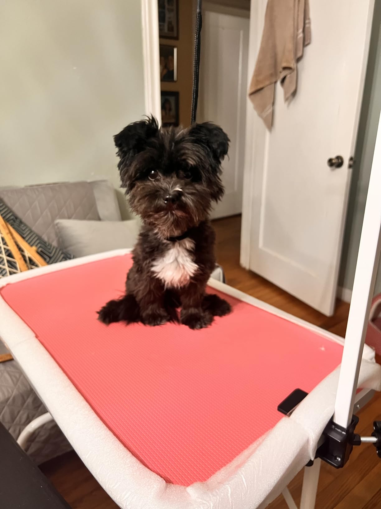 Yaheetech 32-inch Foldable Pet Dog Grooming Table w/Adjustable Height Arm - Drying Table for Home w/Noose for Small Dogs Cats, Maximum Capacity Up to 220lbs, Pink customer photo 1