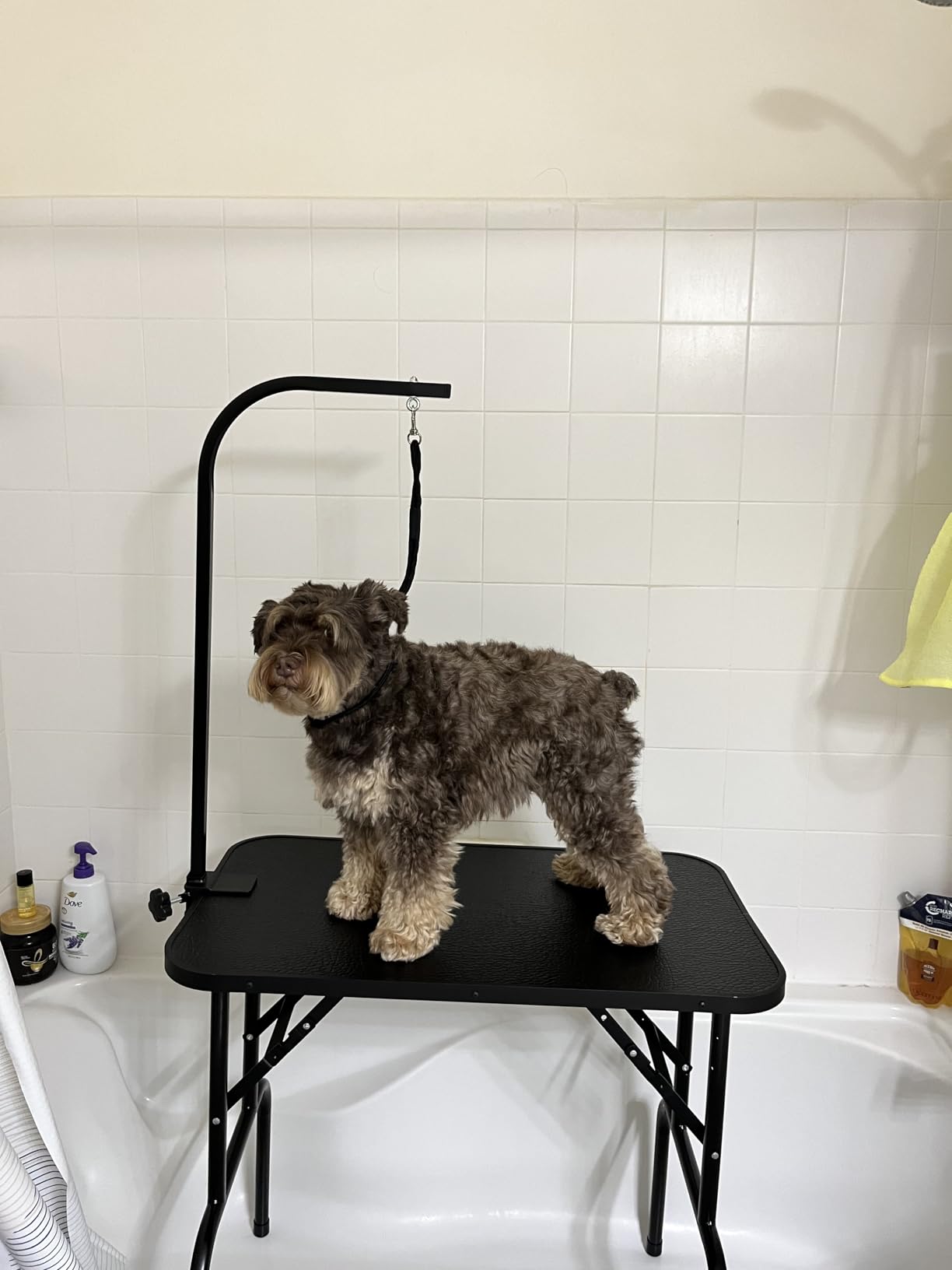 Yaheetech 32-inch Foldable Pet Dog Grooming Table w/Adjustable Height Arm - Drying Table for Home w/Noose for Small Dogs Cats, Maximum Capacity Up to 220lbs, Pink customer photo 2
