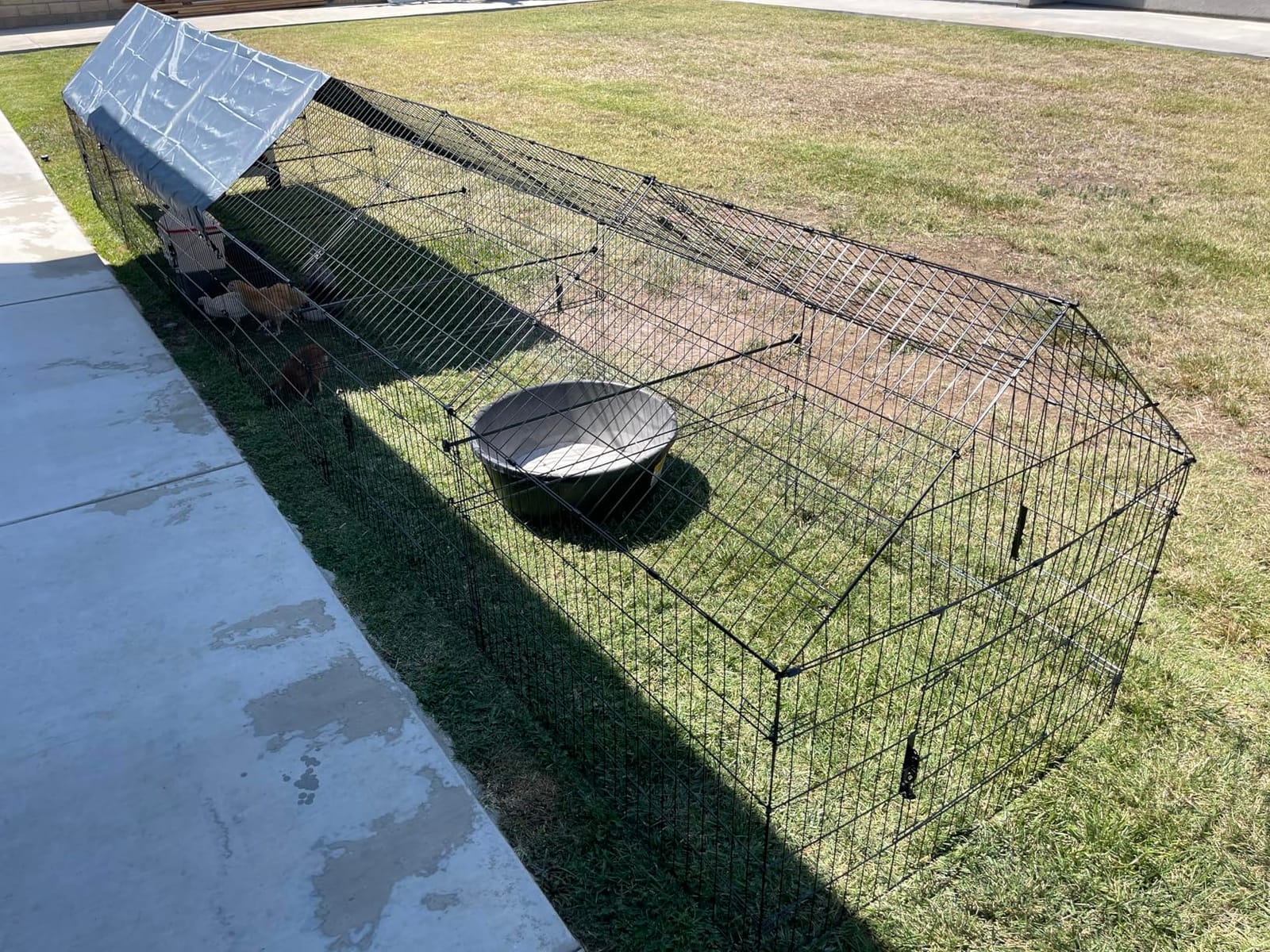 Chicken Coop, 86