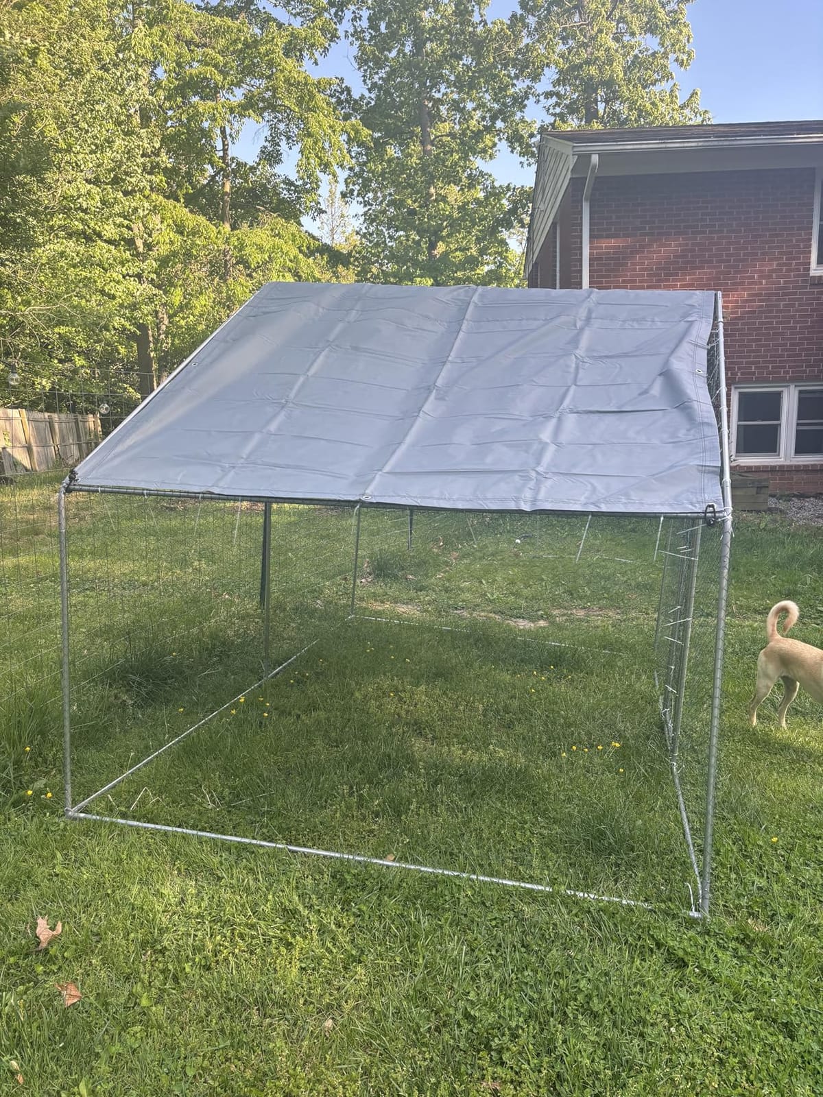 Large Metal Chicken Coop Round Top Upgrade Tri-Supporting Wire Mesh Chicken Run, Chicken Pen with Water-Resident and Anti-UV Cover, Duck Rabbit House Outdoor (19'L x 9'W x 6.5'H) customer photo 1