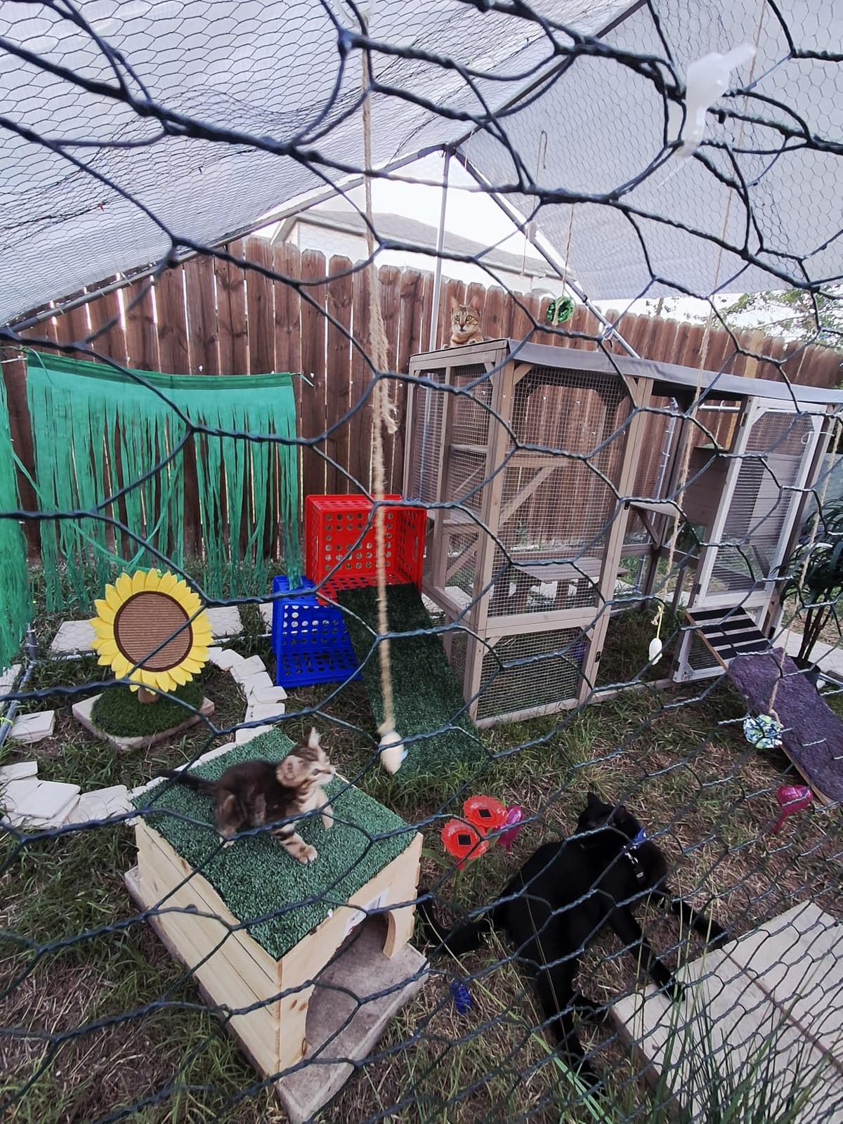Large Metal Chicken Coop Round Top Upgrade Tri-Supporting Wire Mesh Chicken Run, Chicken Pen with Water-Resident and Anti-UV Cover, Duck Rabbit House Outdoor (13'L x 9'W x 6.5'H) customer photo 2