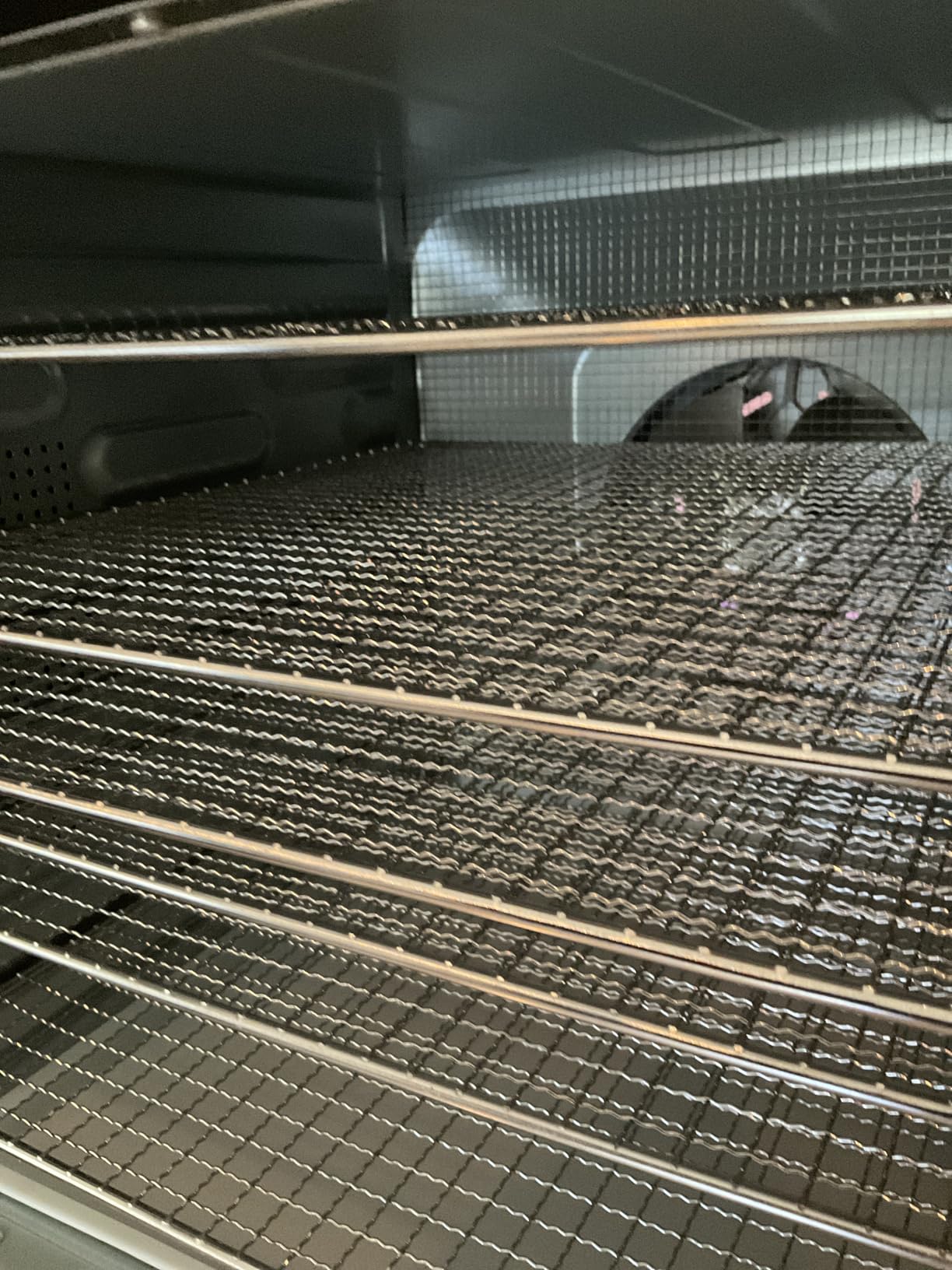 Cosori Food Dehydrator, 10 Stainless Steel Trays with 16.2 ft² Drying Space customer photo 1