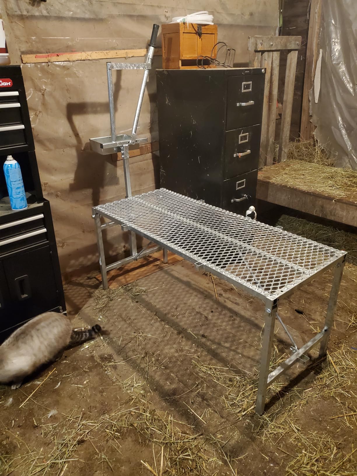 Premier 1 Galvanized Steel Milking Stand for Goats & Sheep - 20