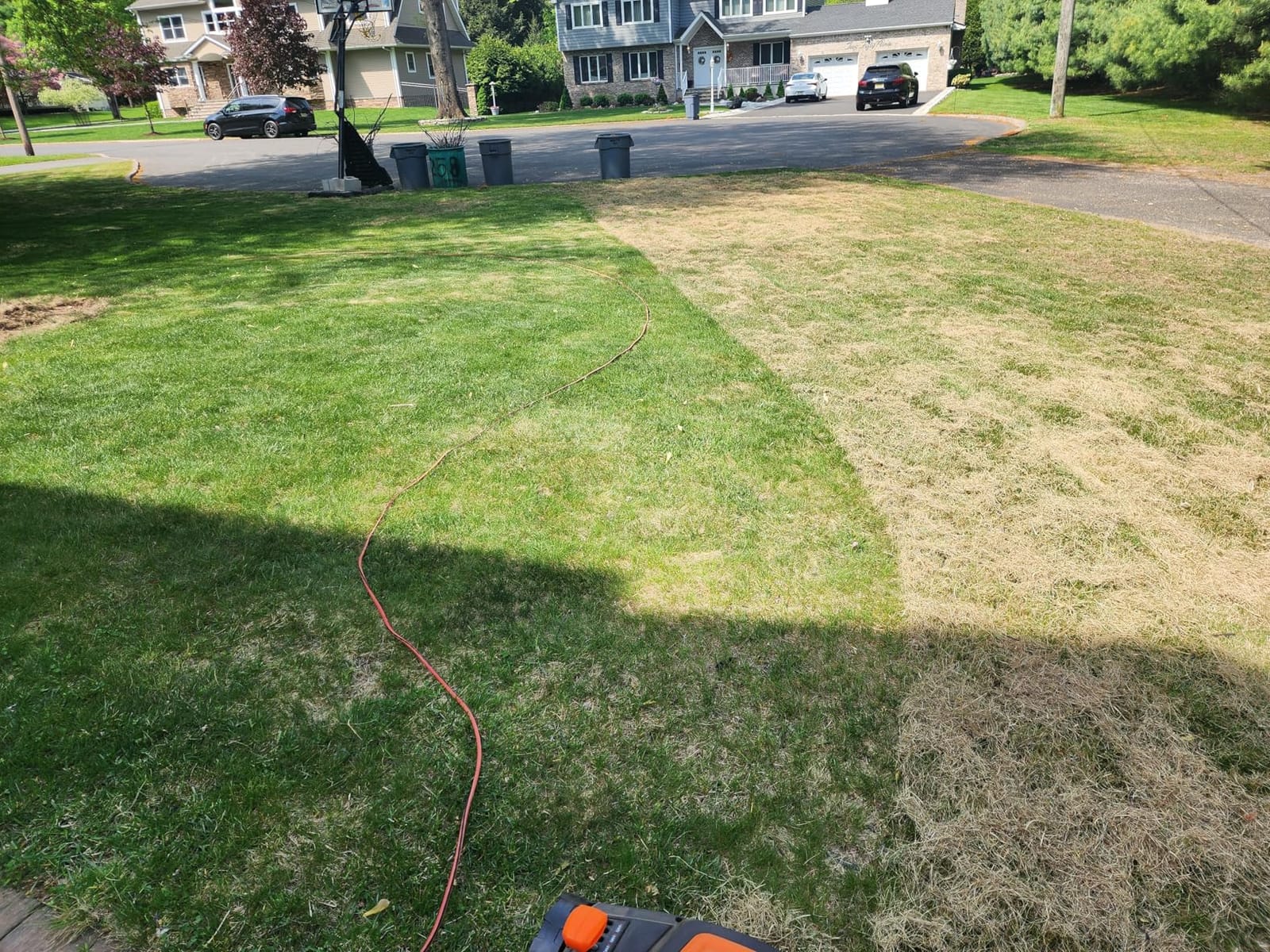 WEN 15-Inch 13-Amp 2-in-1 Electric Dethatcher and Scarifier with 12-Gallon Collection Bag (DT1315) customer photo 2