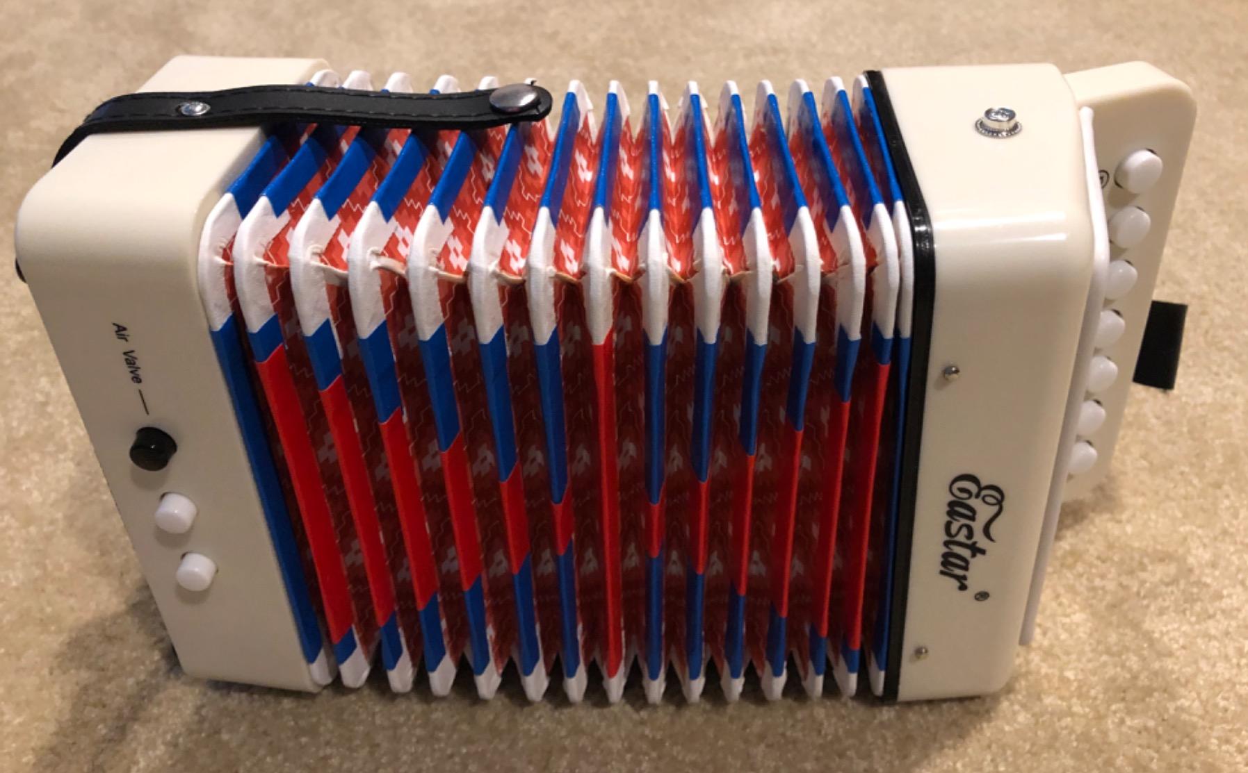 Eastar Kids Accordion Toy Accordion Mini Musical Instruments 10 Keys Button for Children Kids Toddlers Beginners (Blue) customer photo 1