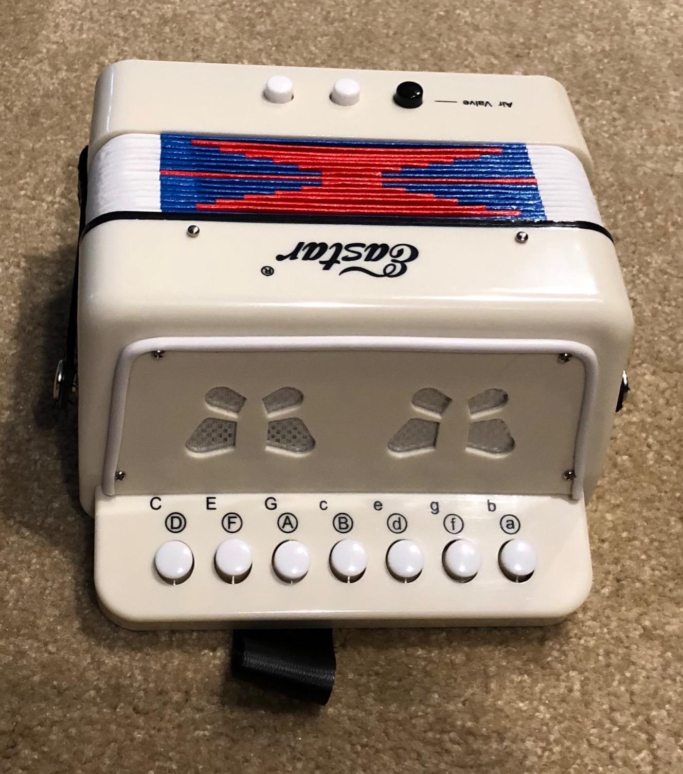 Eastar Kids Accordion Toy Accordion Mini Musical Instruments 10 Keys Button for Children Kids Toddlers Beginners (Blue) customer photo 2