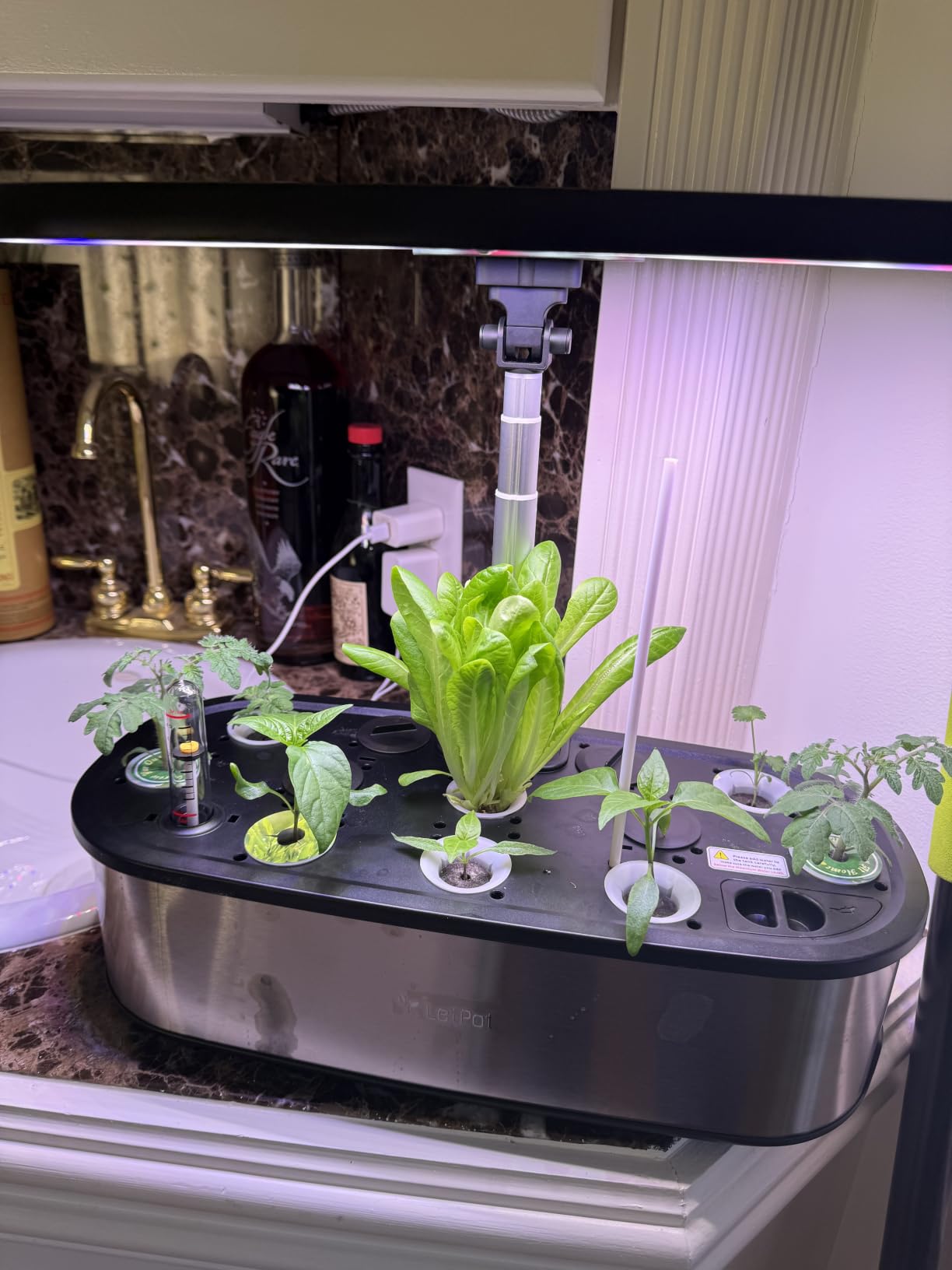 LETPOT LPH-SE Hydroponics Growing System, 12 Pods Smart Herb Garden Kit Indoor, APP & WiFi Controlled, 24W Growing LED, 5.5L Water Tank customer photo 1