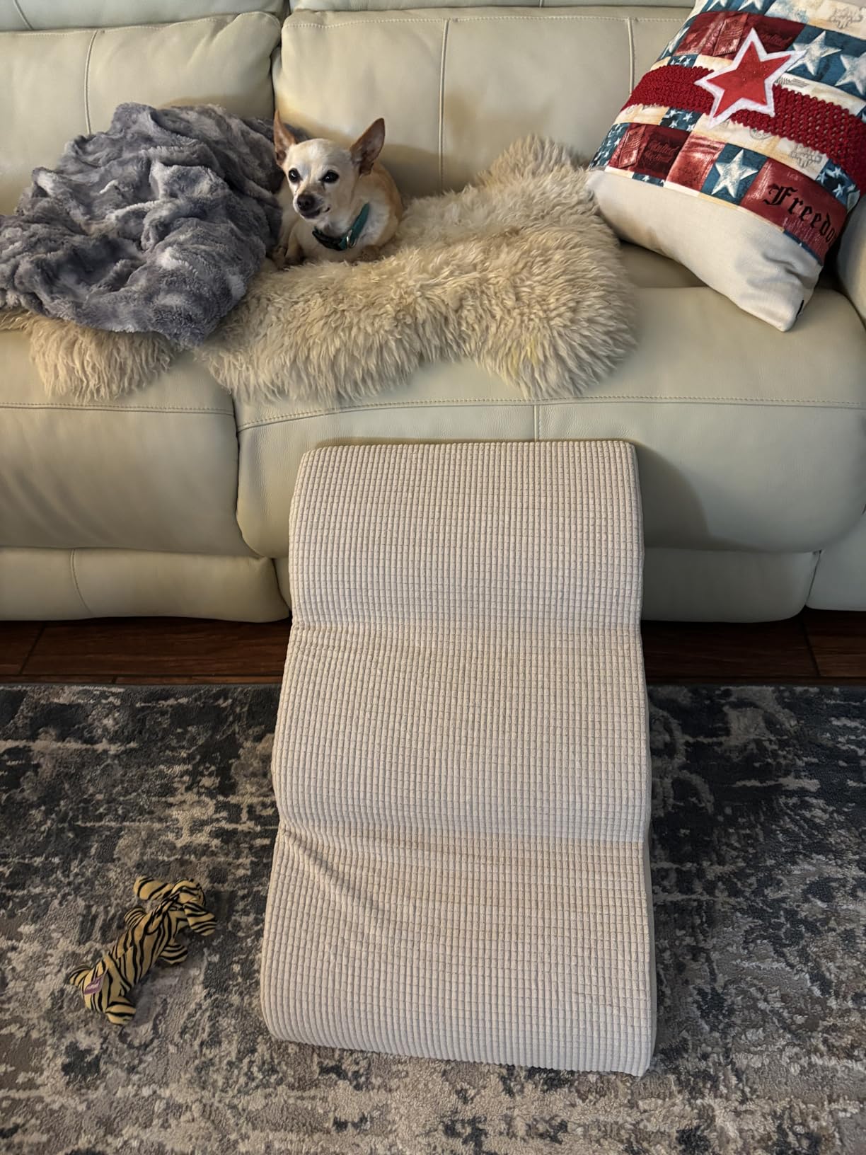 Aodisman Dog Stairs for Small Dogs and Cats,3-Step Pet Ramp for Bed & Couch customer photo 2