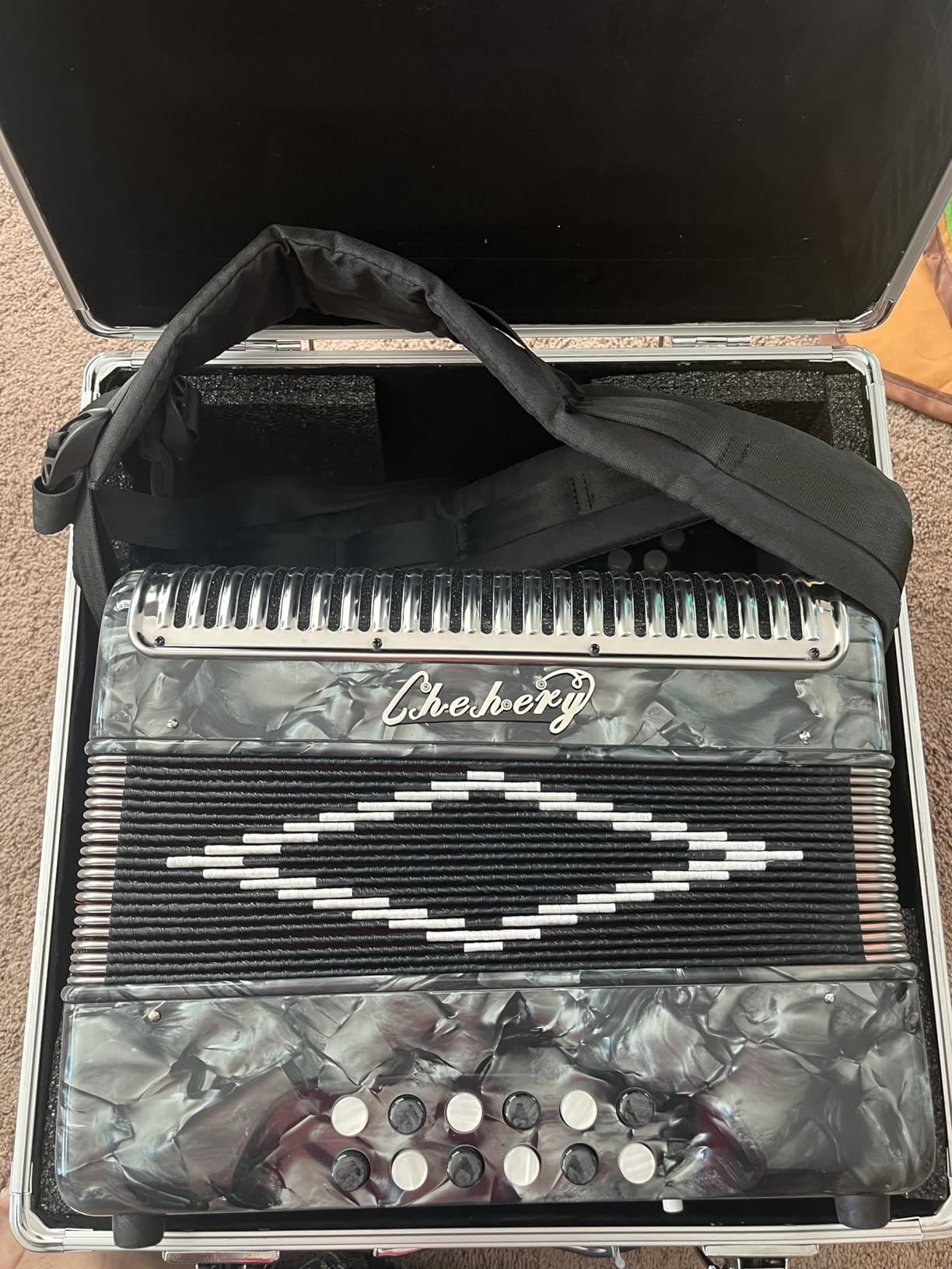 Accordion 31Key 12Bass Diatonic G/C/F with Case Strap Gloves Cloth (Sliver) customer photo 1