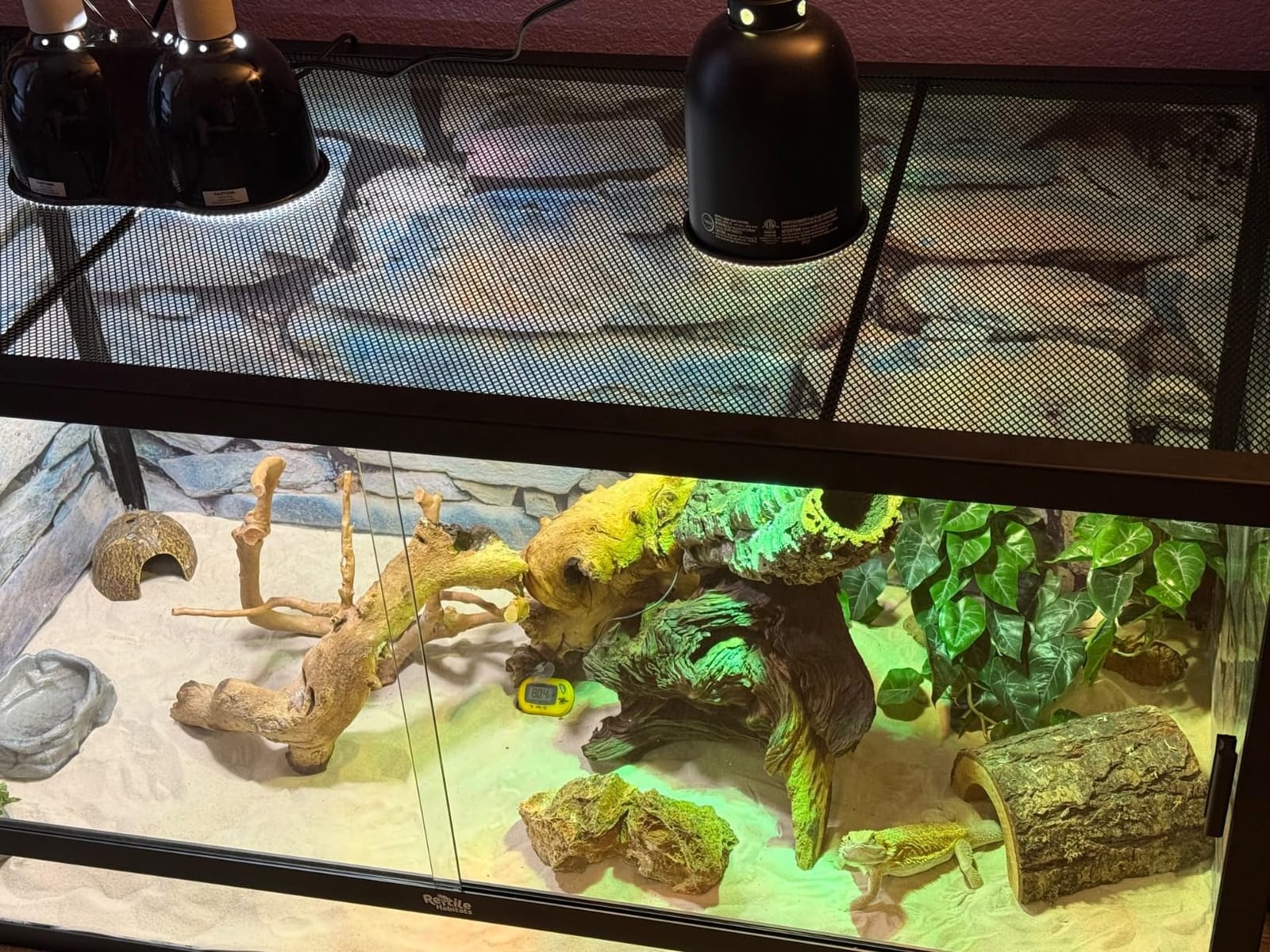 4x2x2 (120 Gallon) Reptile Enclosure V3 PVC Panels, Glass Doors, Lightweight, Easy to Assemble, Heavy Duty Screen, Aluminum Frame customer photo 1
