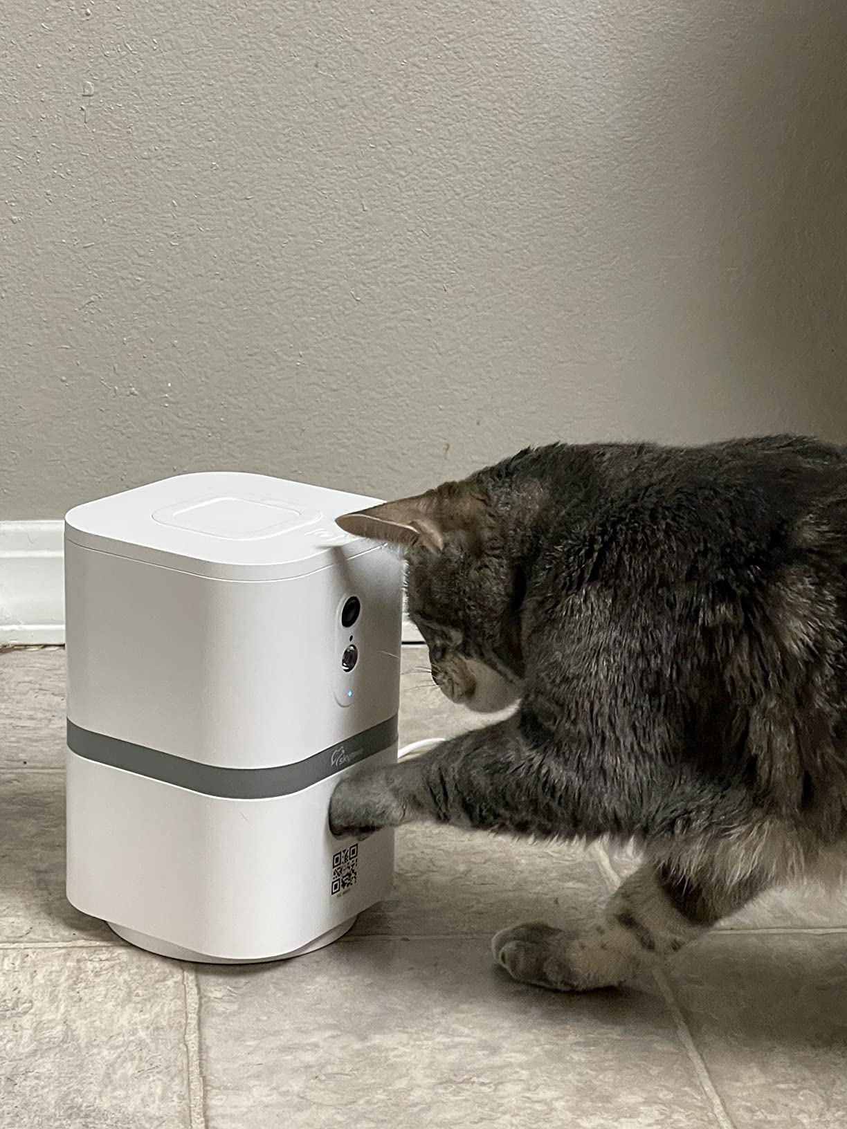 Petalk AI II Dog Camera Automatic Treat Dispenser, 5G WiFi Full HD Pet Camera with 180° Pan Full-Room View, Night Vision, Two Way Audio for Dogs and Cats, Compatible with Alexa (Support 5G WiFi) customer photo 1