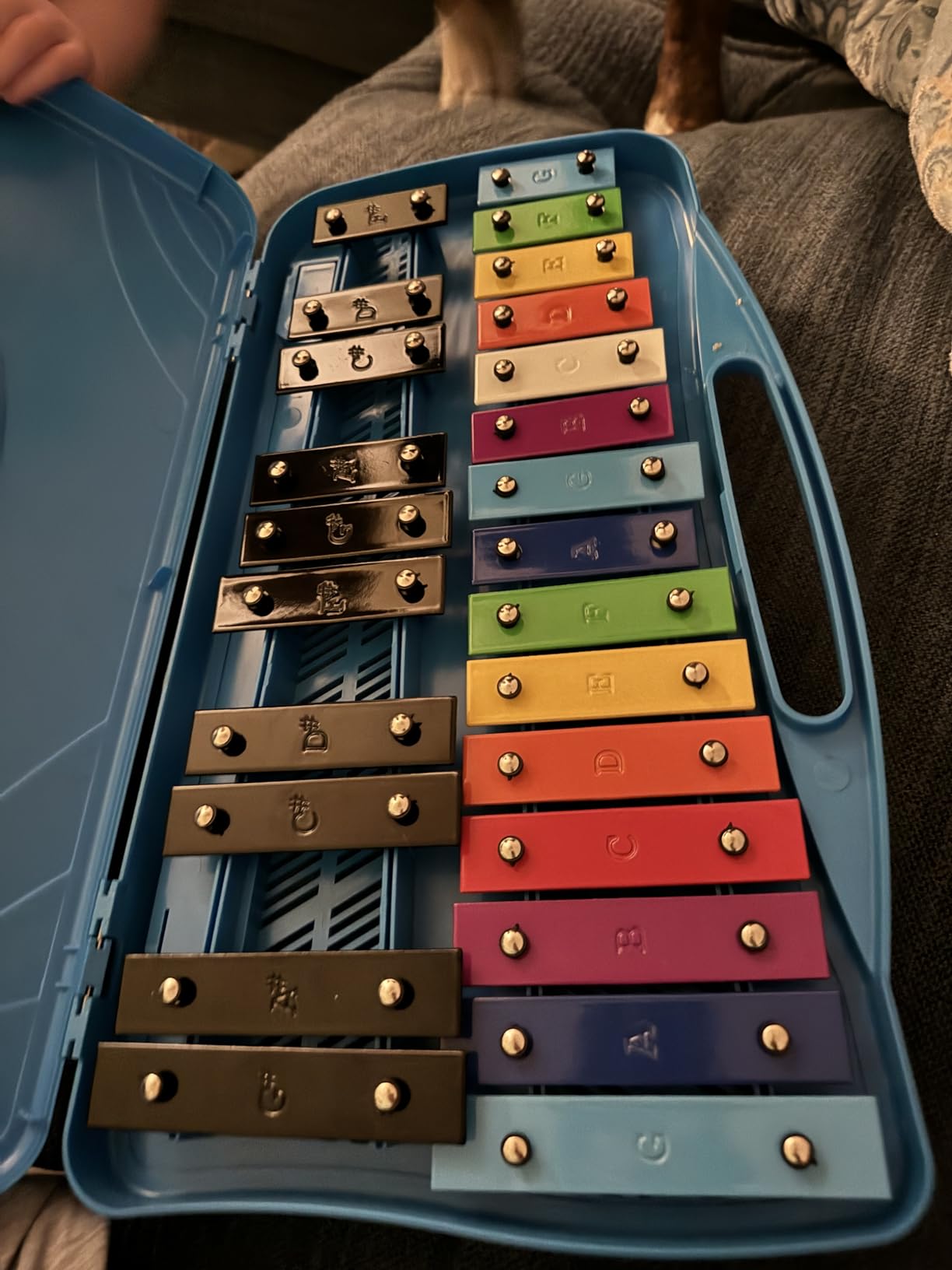 Glockenspiel Xylophone for Kids Colorful 25 Notes with 30-Song Songbook, Glockenspiel Instrument, Kids Xylophone, Metal Keys, Blue Carry Case, 2 Mallets, Music Learning, Classroom Use, Birthday Gift customer photo 1