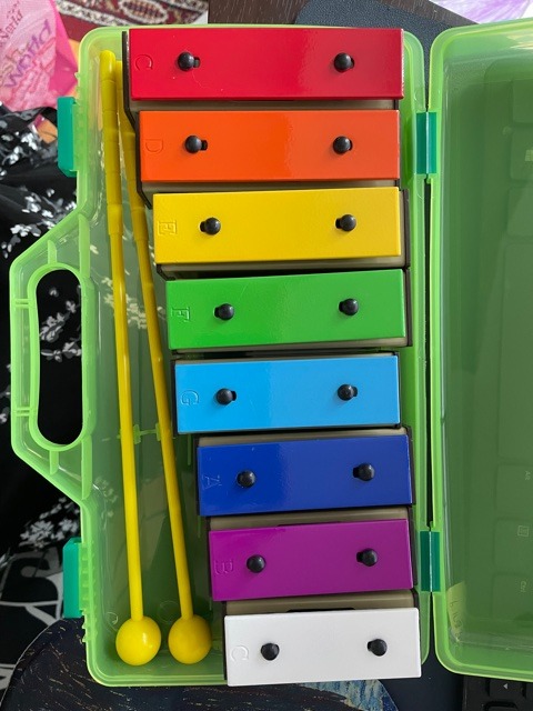 Glockenspiel Xylophone for Kids Colorful 25 Notes with 30-Song Songbook, Glockenspiel Instrument, Kids Xylophone, Metal Keys, Blue Carry Case, 2 Mallets, Music Learning, Classroom Use, Birthday Gift customer photo 2
