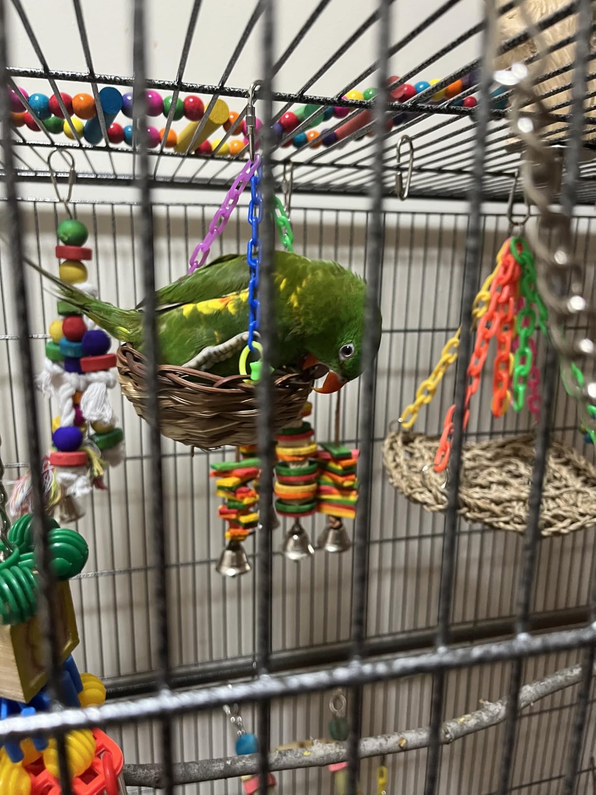 Topeakmart X-Large Parrot Cage Bird Cage with Rolling Stand for Medium Birds customer photo 1
