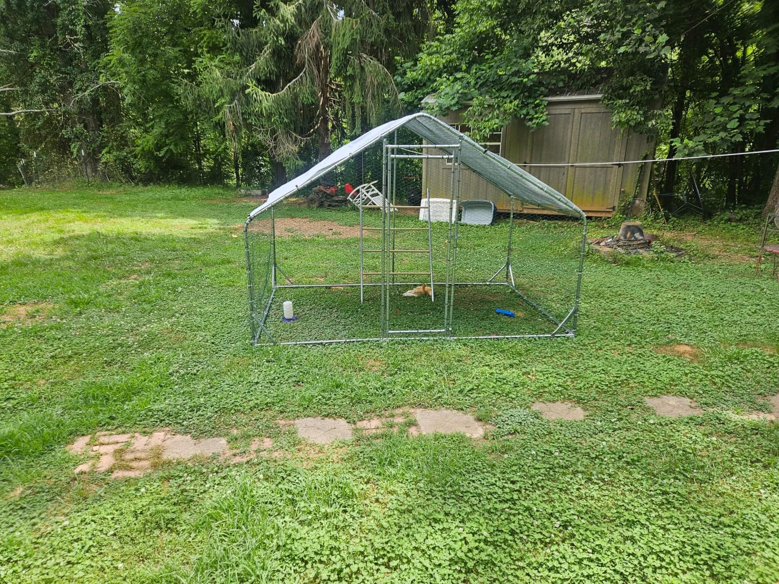 CHIKENCOOP 9.8 x 6.5 x 6.5 ft Metal Chicken Coop, Chicken Run with Cover | Walk-in outdoor enclosure with waterproof UV-resistant cover, reinforced frame, and 47 x 40 in eucalyptus perch customer photo 1