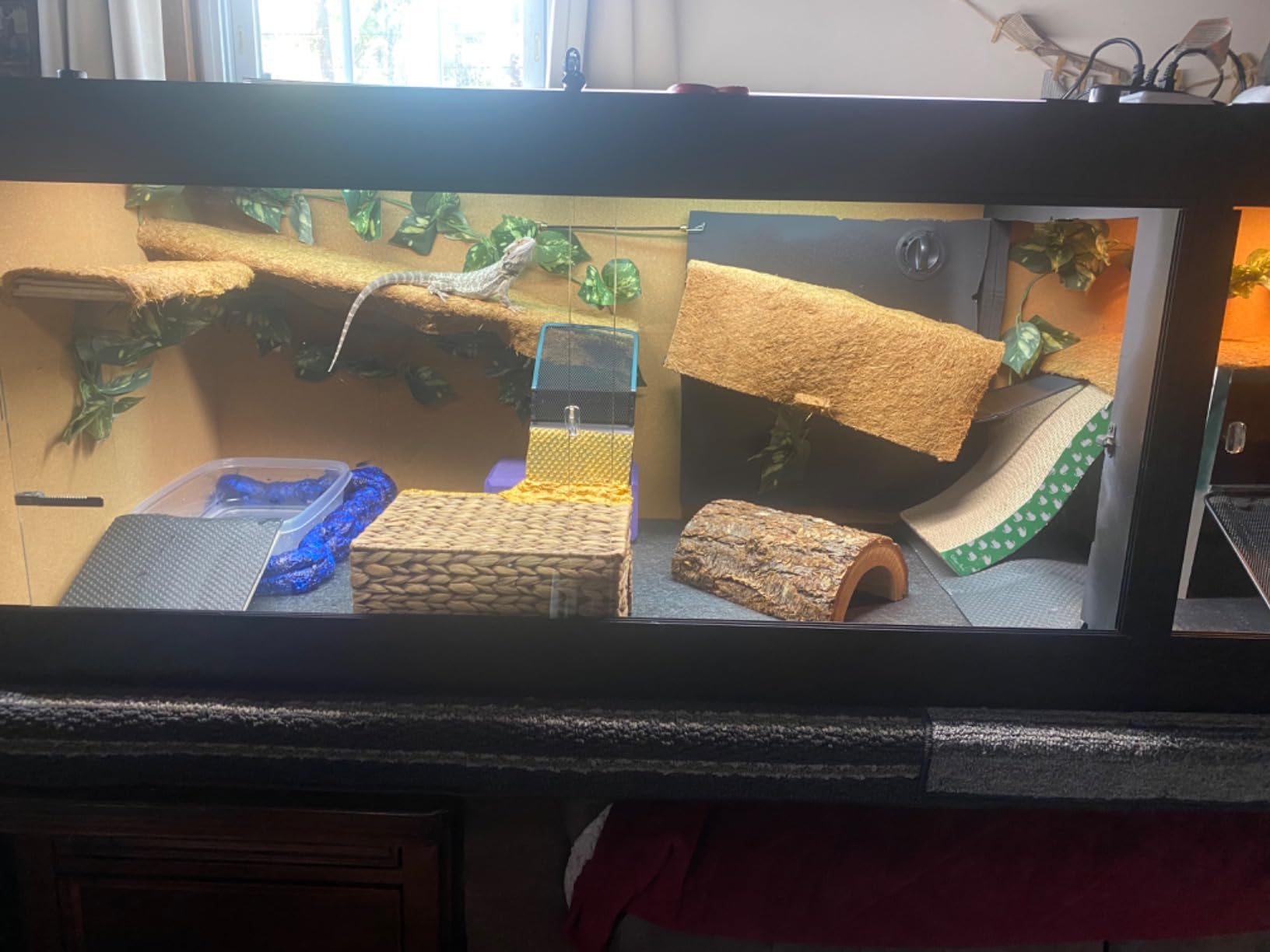 50 Gallon Reptile Enclosure, 36