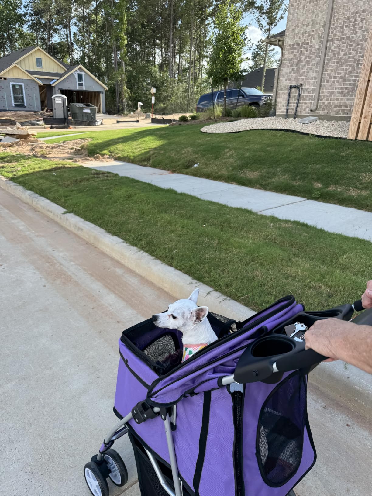Pet Stroller, 4 Wheels Pet Strolling Cart for Medium/Small Dogs and Cats, Foldable Cat Jogger/Dog Stroller with Cup Holder, Storage Basket, Breathable Mesh, All-Season Pet Carrier, Purple customer photo 1
