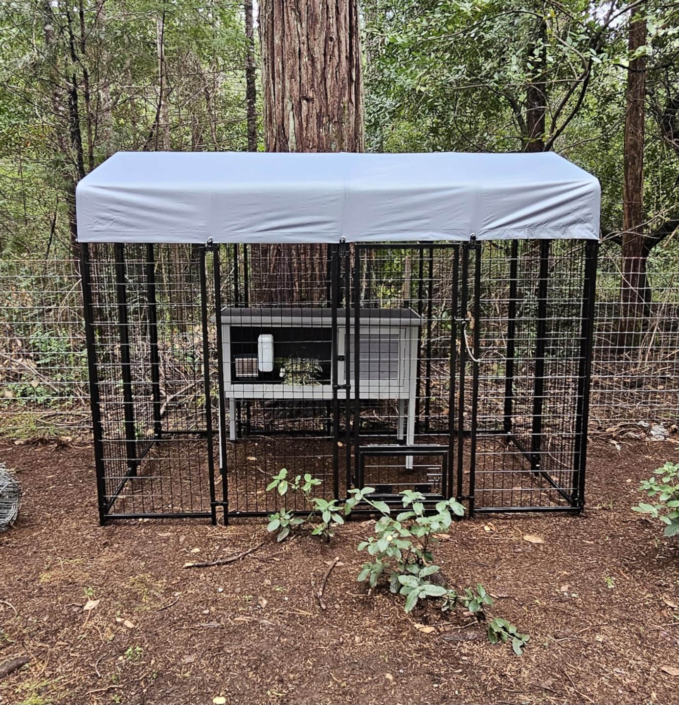 LEMBERI 8x4x6FT Outdoor Dog Kennel for Large Dogs, Heavy Duty | Escape-proof galvanized steel dog run with double-latch gate, reflective silver waterproof roof, 2 stainless steel bowls customer photo 1