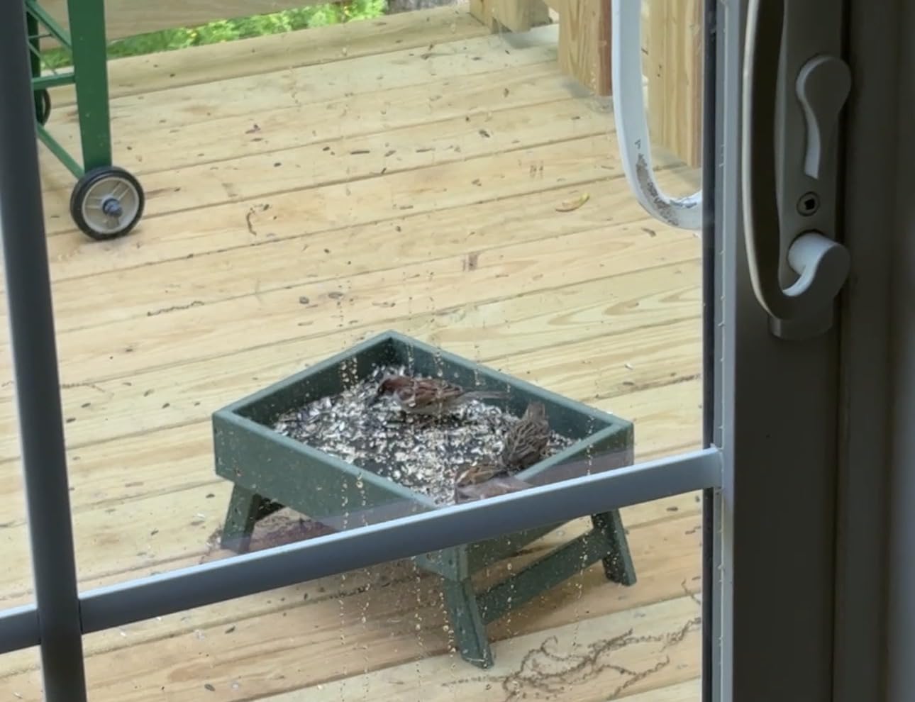 Kingsyard Ground Bird Feeder, Elevated Tray with Recycled Poly Lumber | Metal Mesh Base, Quick Drainage, Foldable Legs for Easy Storage, 5 Lbs Seed Capacity, Weather Resistant, Easy to Clean, Green customer photo 2