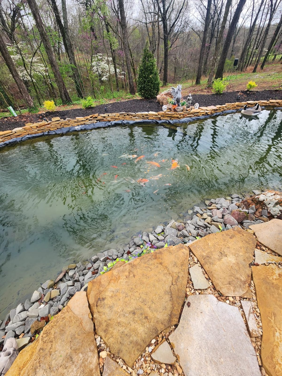 Pond Aerator|Septic Tank Air Pump| Premium Koi Fish Pond Aeration System| Applicable Depth 0-8 feet| 1.91CFM 4.35PSI 25W| Includes Two 20ft Rubber Airlines and Diffusers customer photo 2