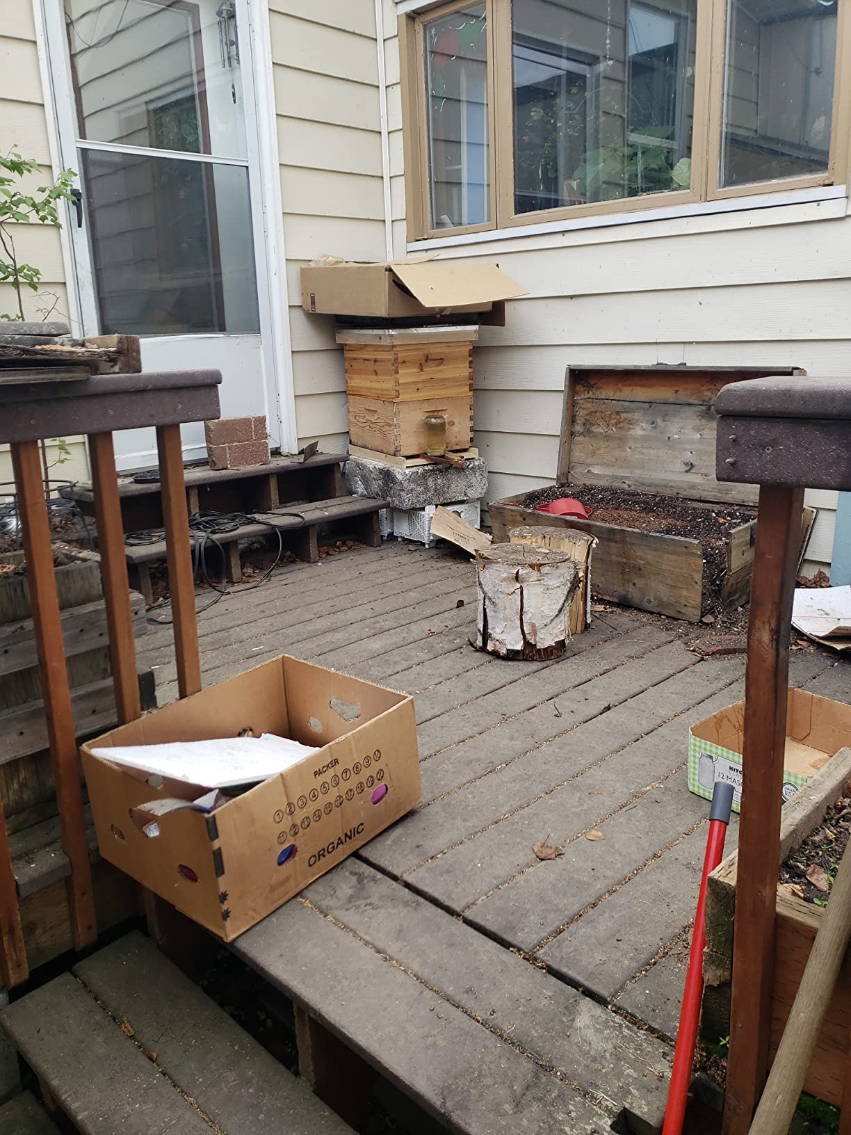 Honey Lake 10-Frame Langstroth Beehive Starter Kit, Beeswax Coated Complete Bee Hive Includes 2 Deep Brood Boxes & 2 Medium Super Bee Boxes with Beehive Frames and Foundations for Beekeepers (4 Layer) customer photo 1
