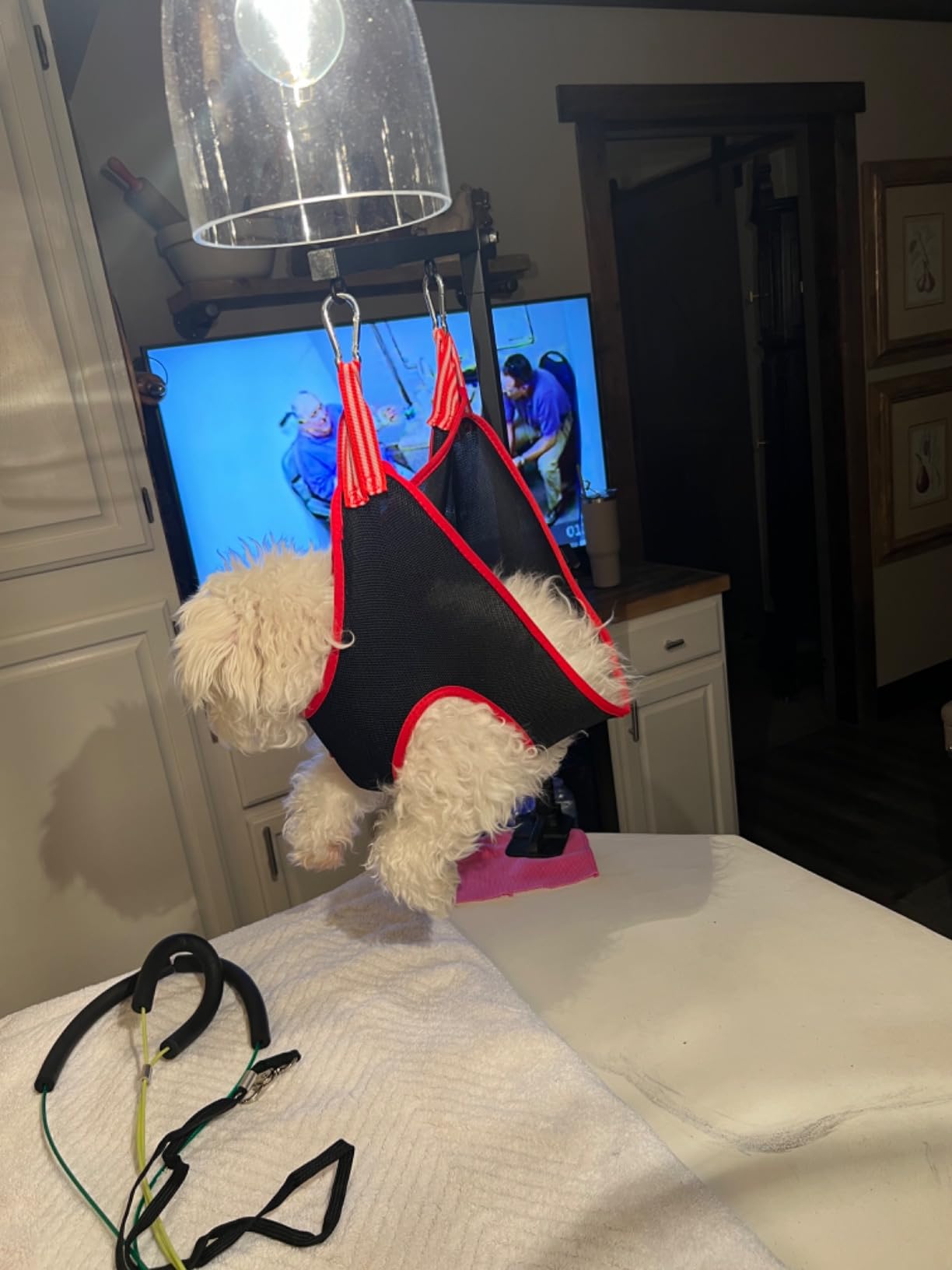Dog Grooming Arm with Pet Grooming Hammock, getlstub 35